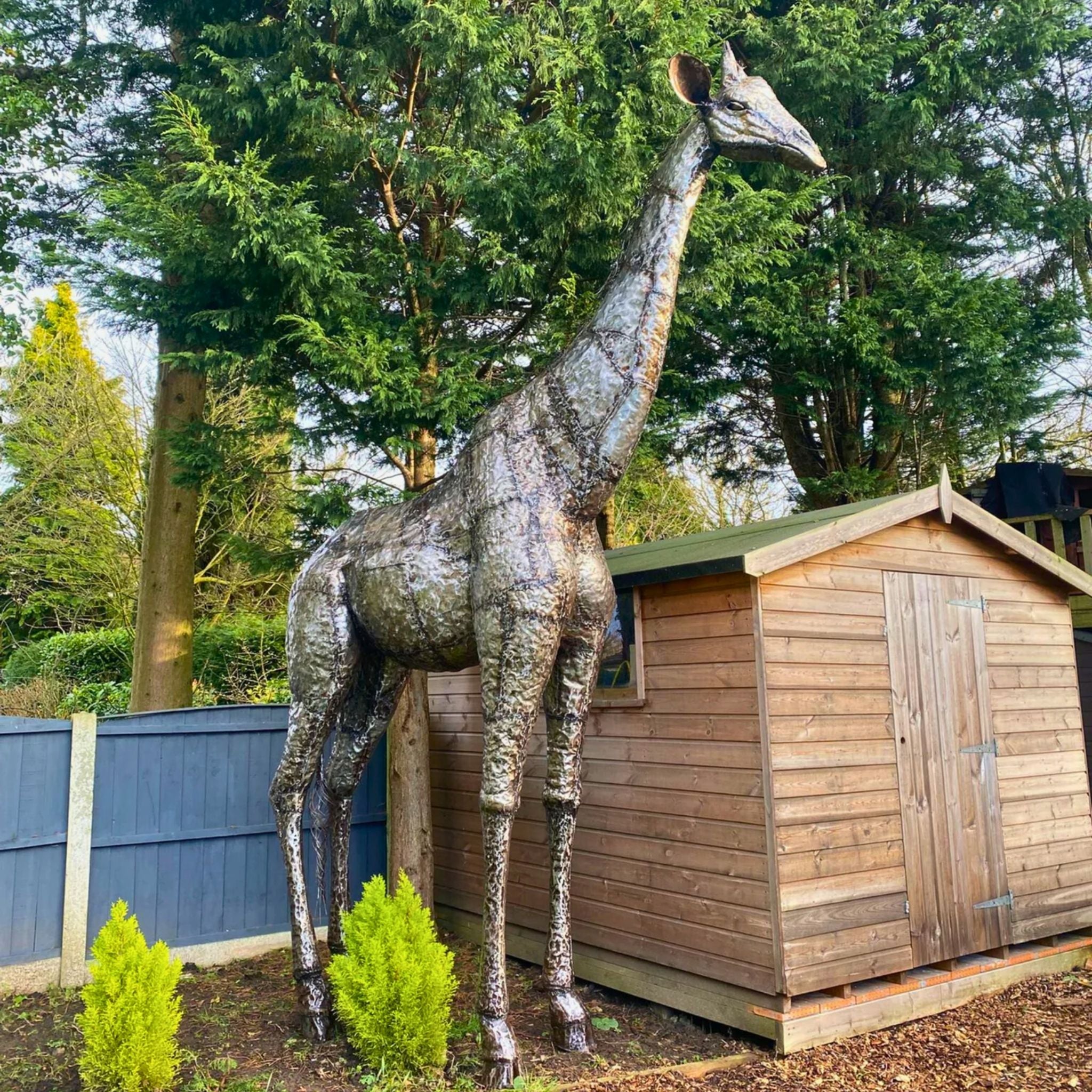 Giraffe Metal Sculpture 11ft