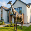 Giraffe Metal Sculpture 11ft