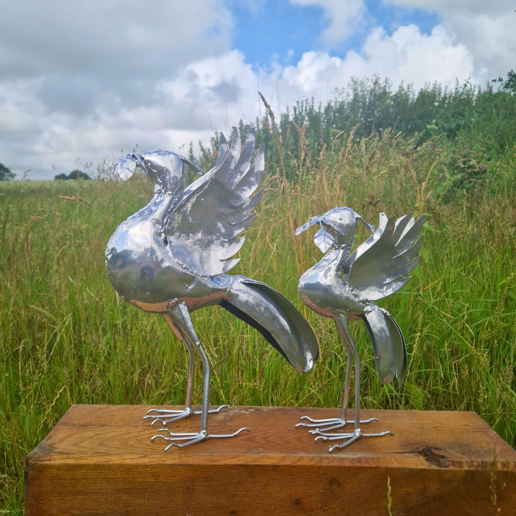 Special Edition Liverbird - Special Offer