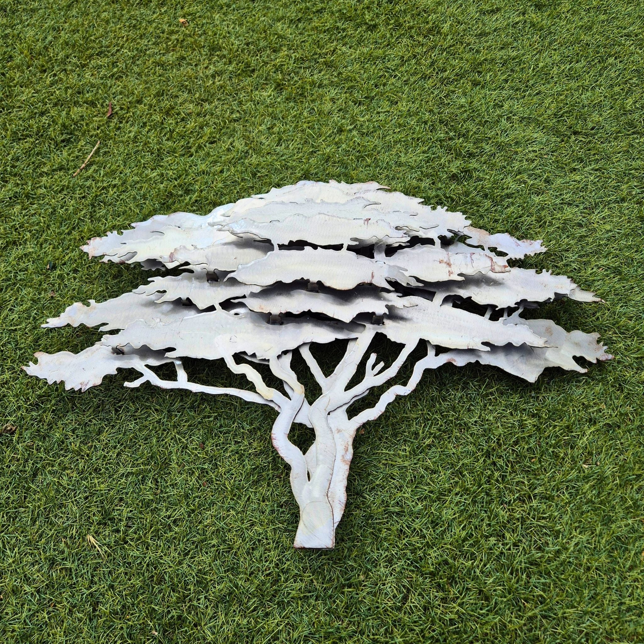 African Tree for Home Decor