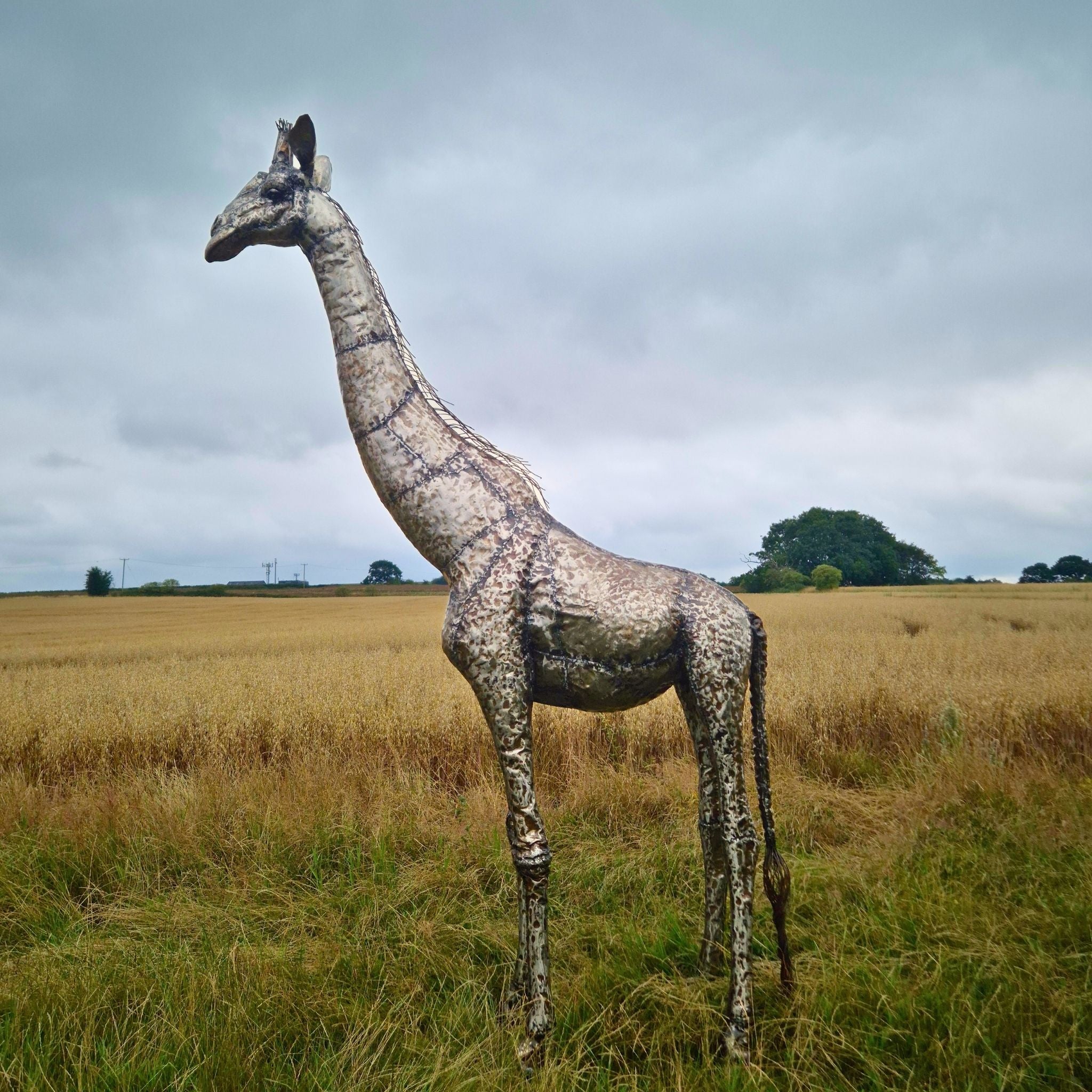 Giraffe Metal Sculpture 11ft