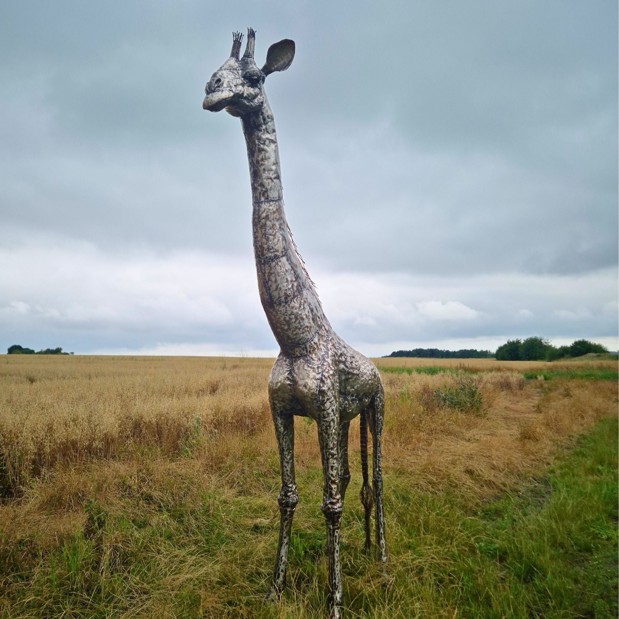 Giraffe Metal Sculpture 11ft