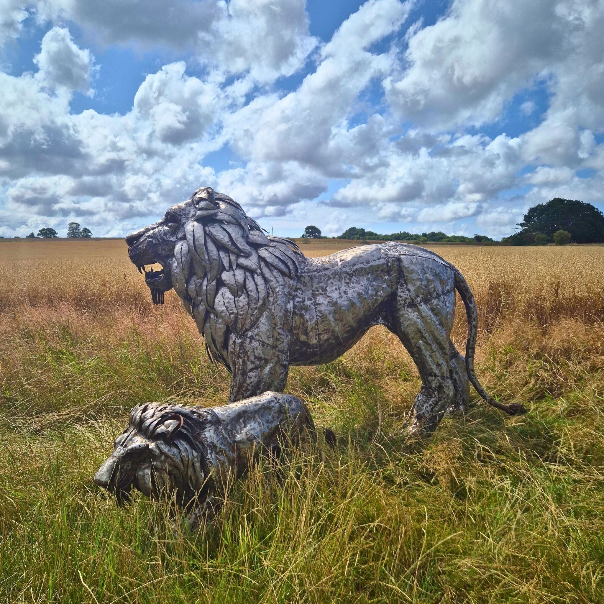 Lion Sculpture Bundle - Special Offer