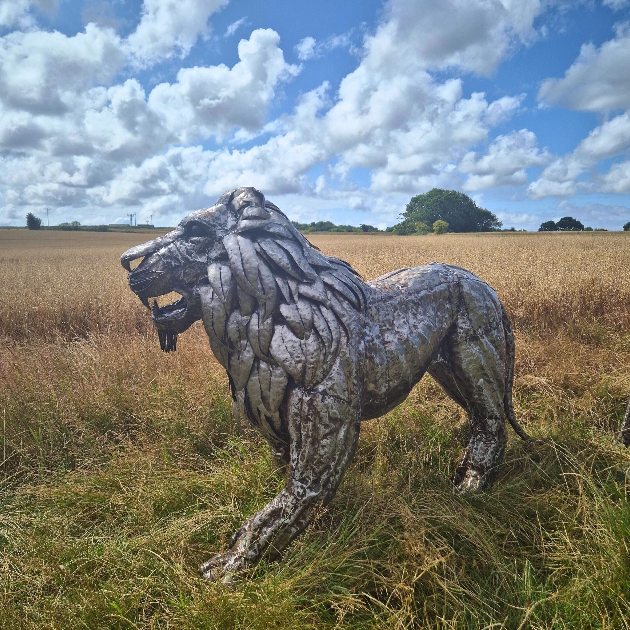 Lion Sculpture Bundle - Special Offer