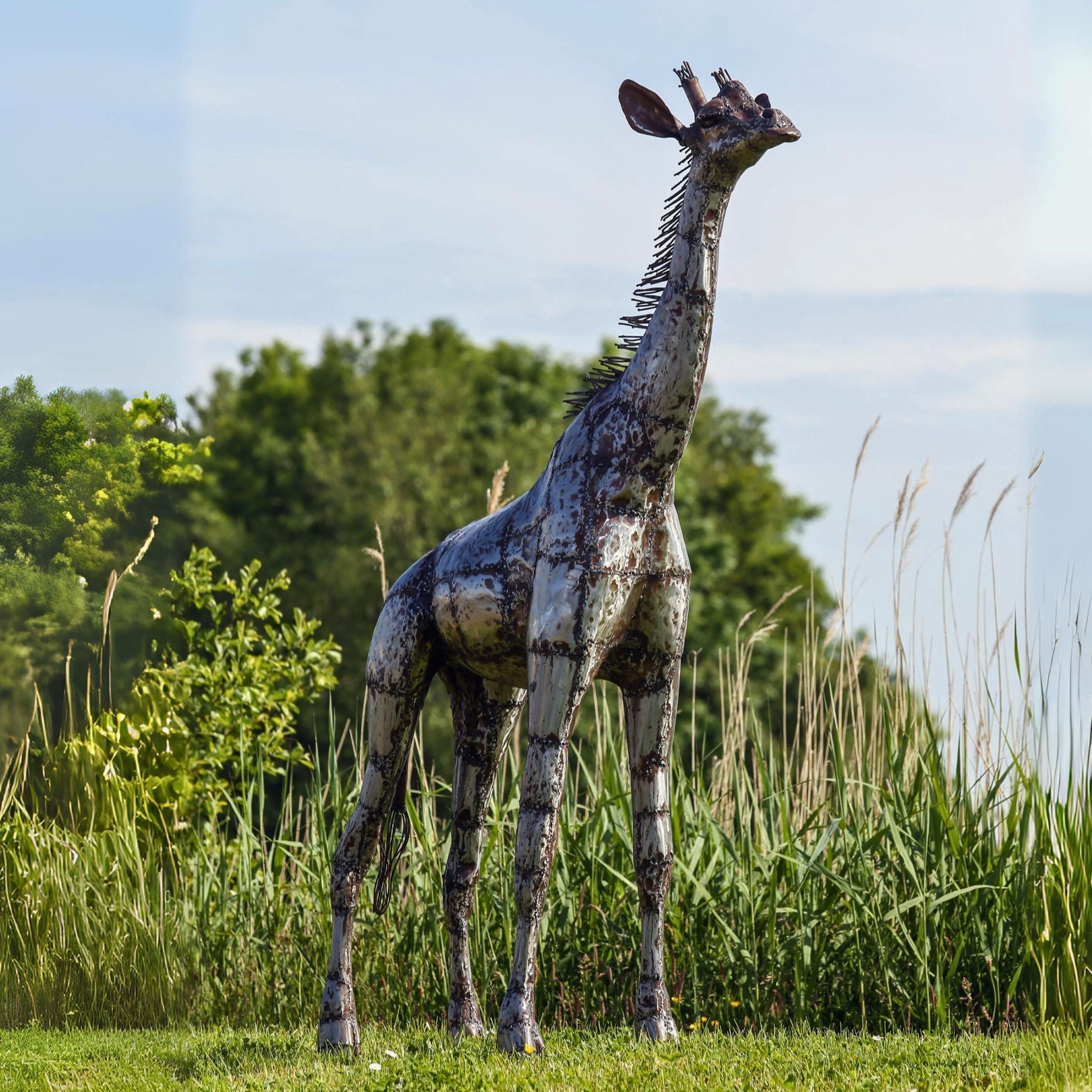 Giraffe Metal Sculpture 6ft