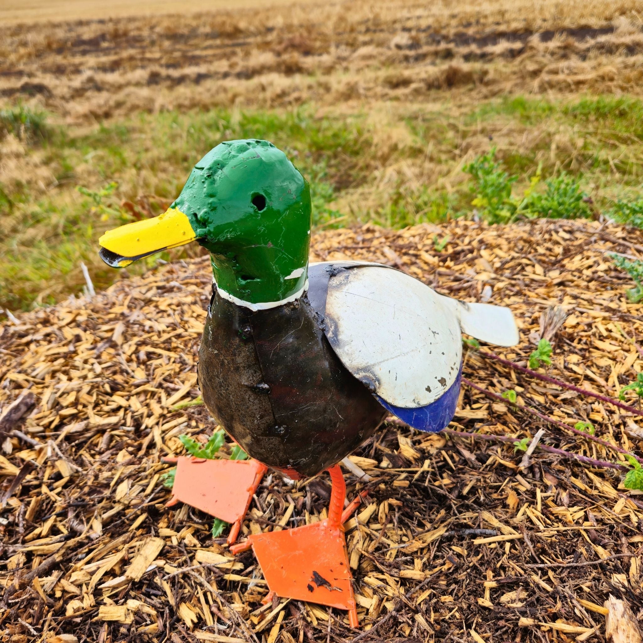 Duck Metal Sculpture