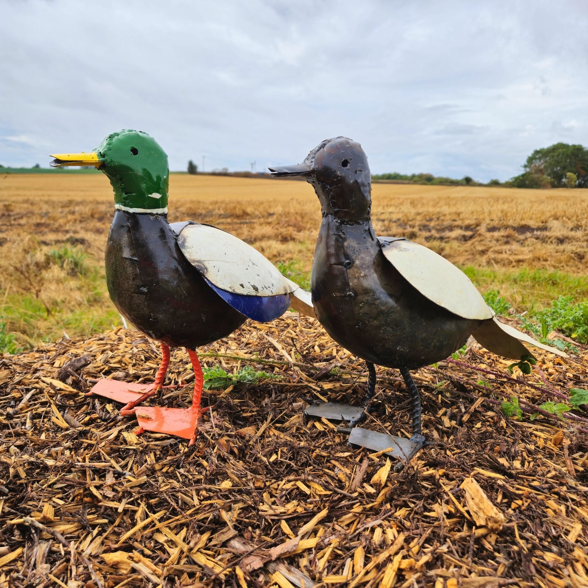 Duck Metal Sculpture