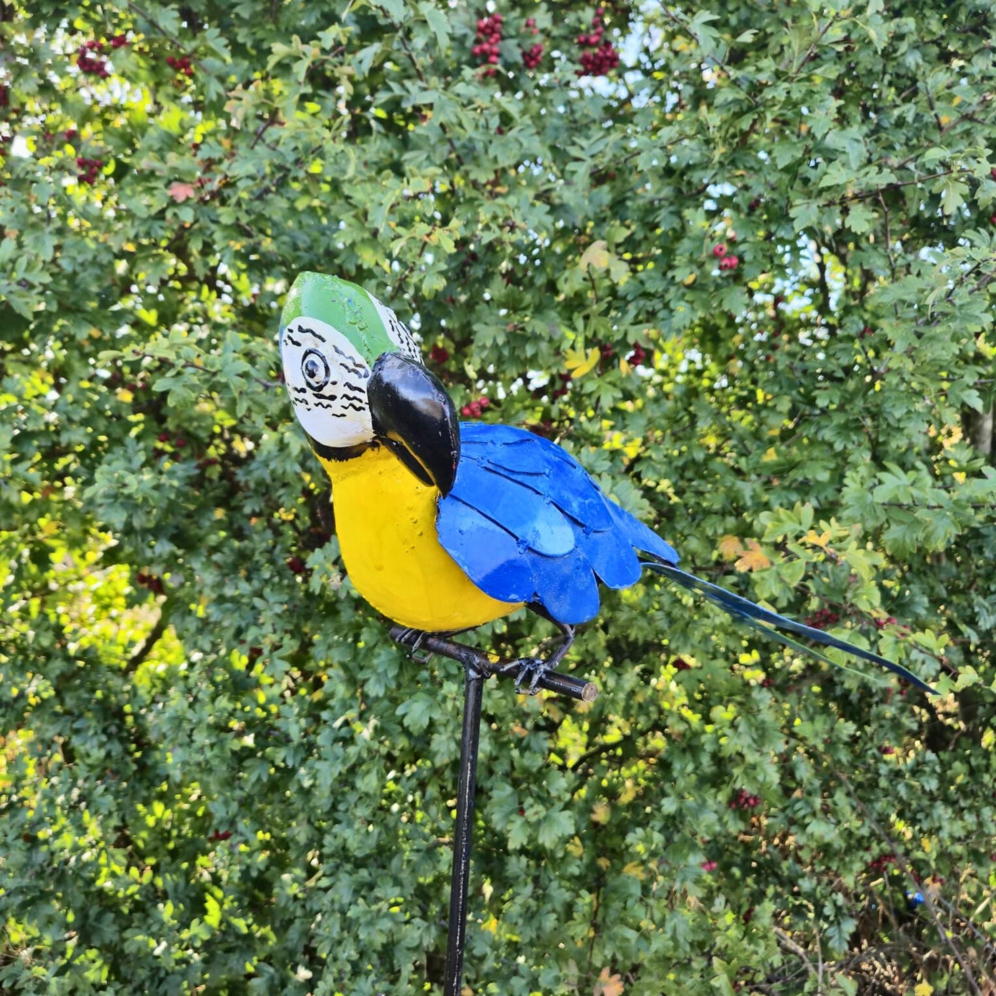 Perched Parrot Metal Sculptures