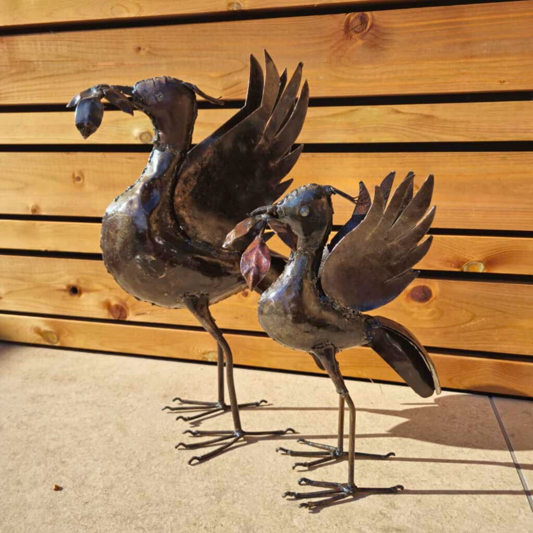 Special Edition Liverbird Bundle