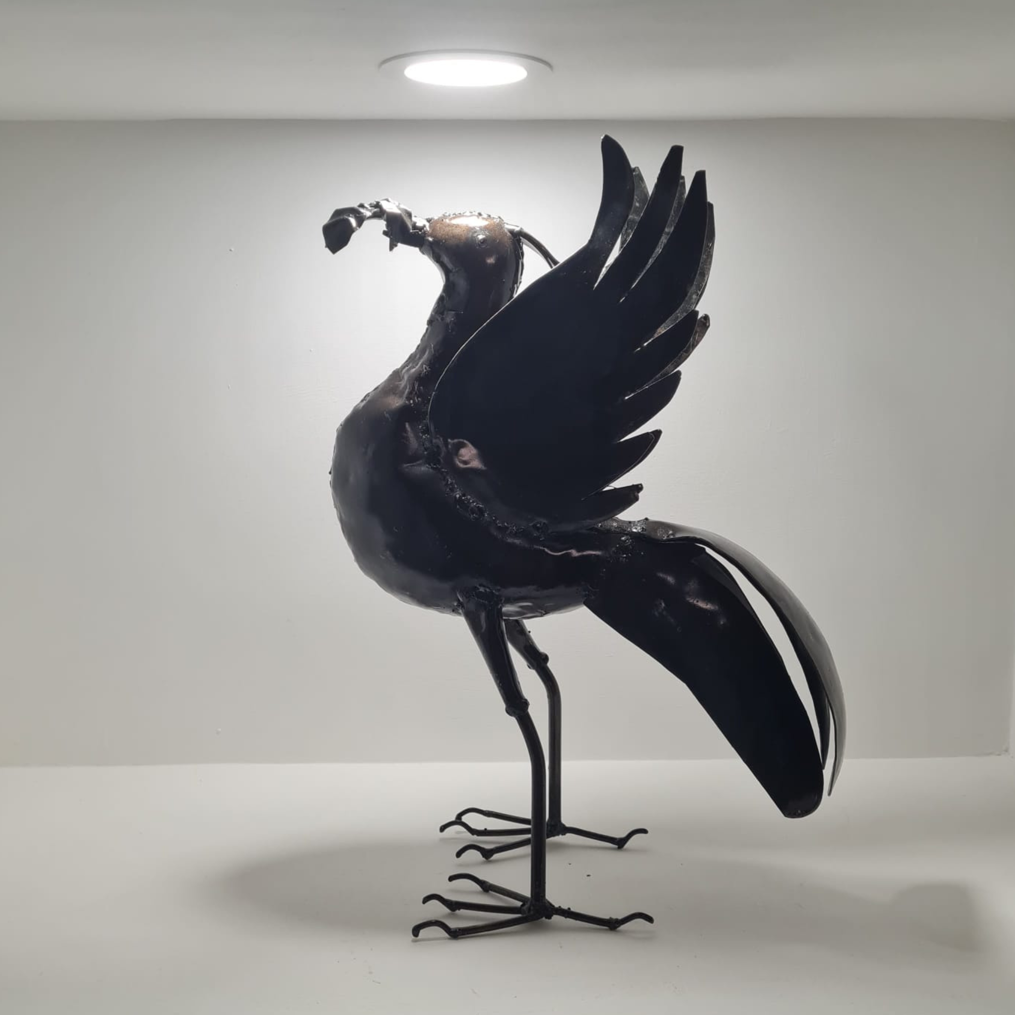 Pangea Liver bird - Medium