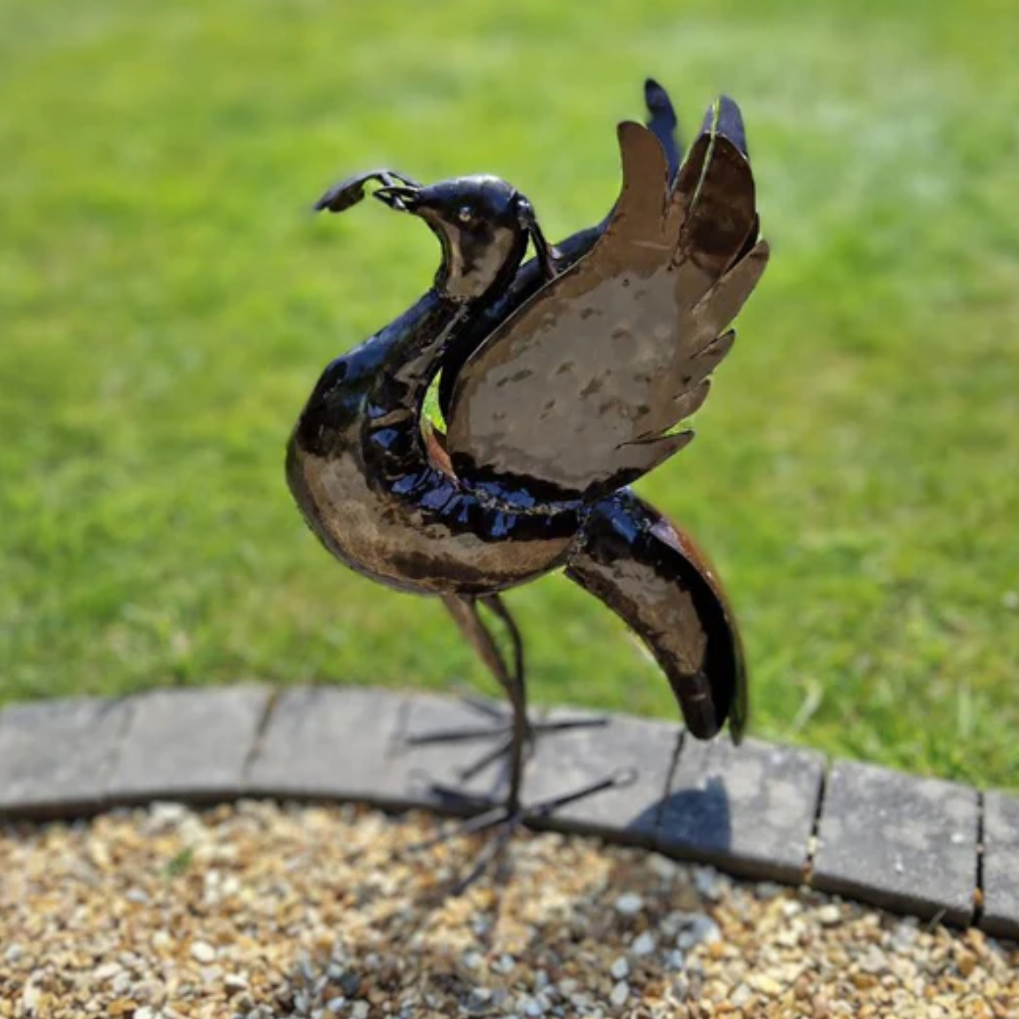 Pangea Liver bird - Medium