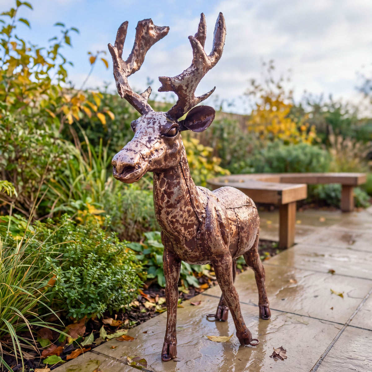 The Stag Bundle