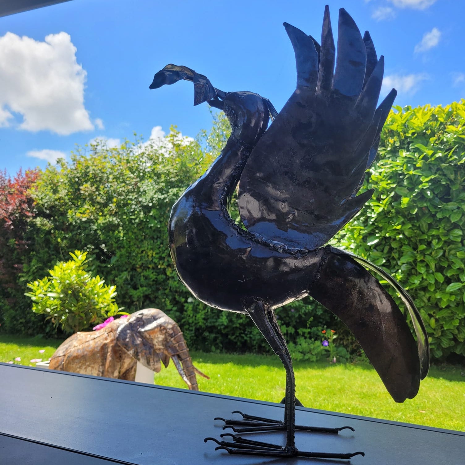 Pangea Liver bird - Medium