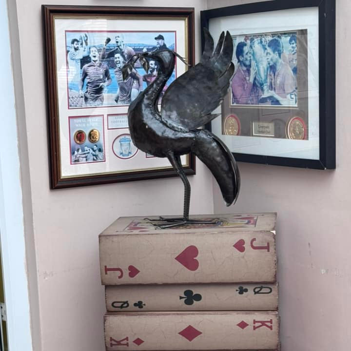 Pangea Liver bird - Medium