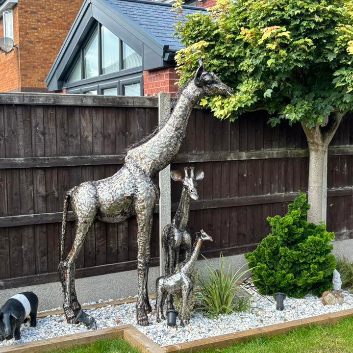 Giraffe Metal Sculpture 6ft