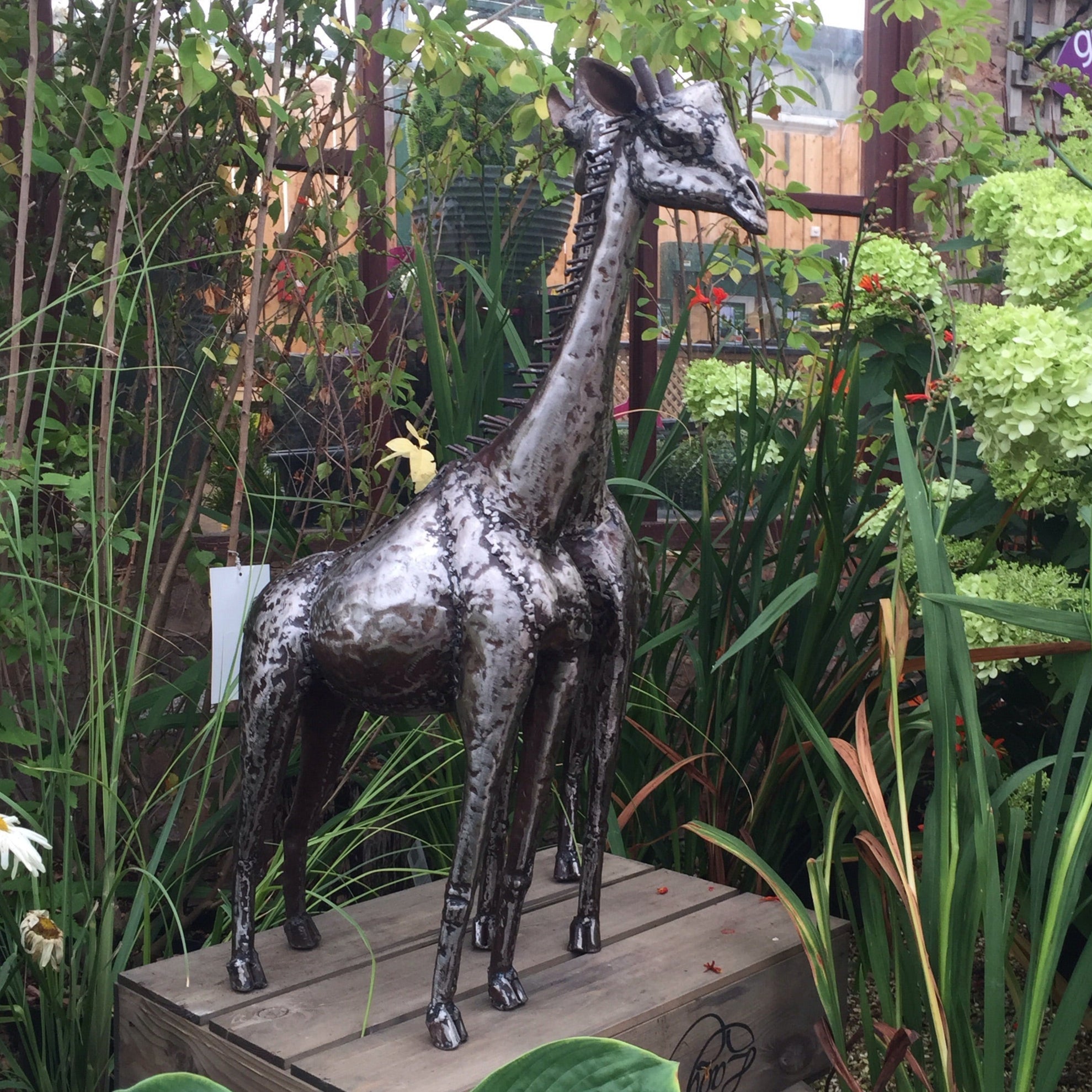 Giraffe Metal Sculpture 2.5ft