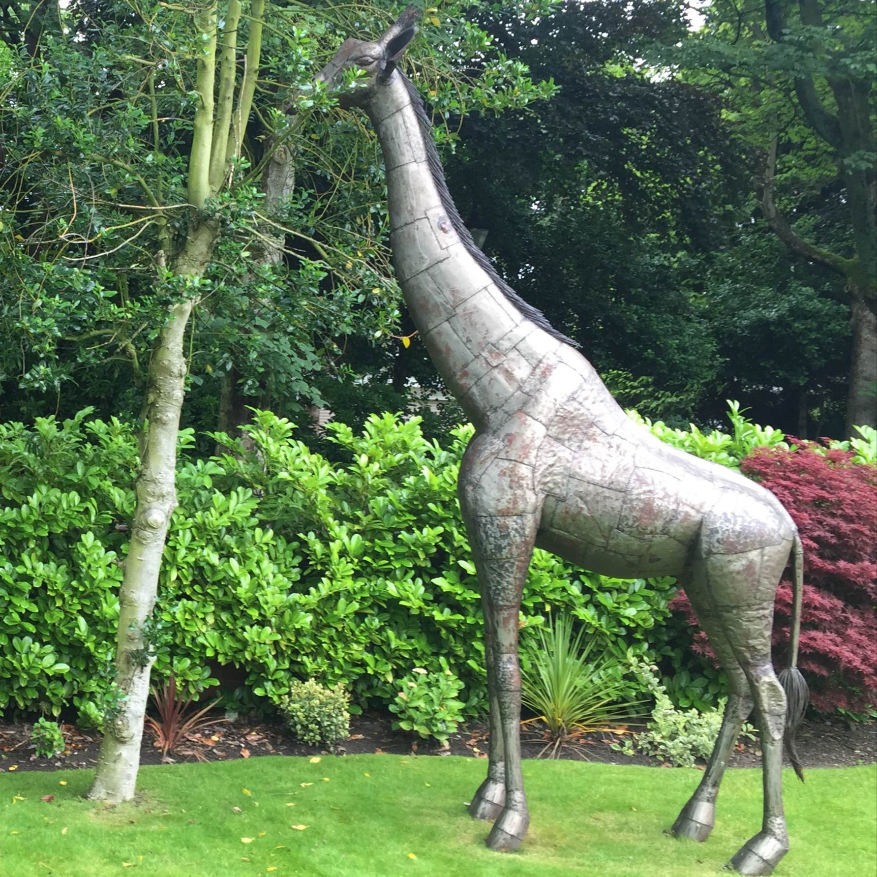Giraffe Metal Sculpture 11ft - Special Offer
