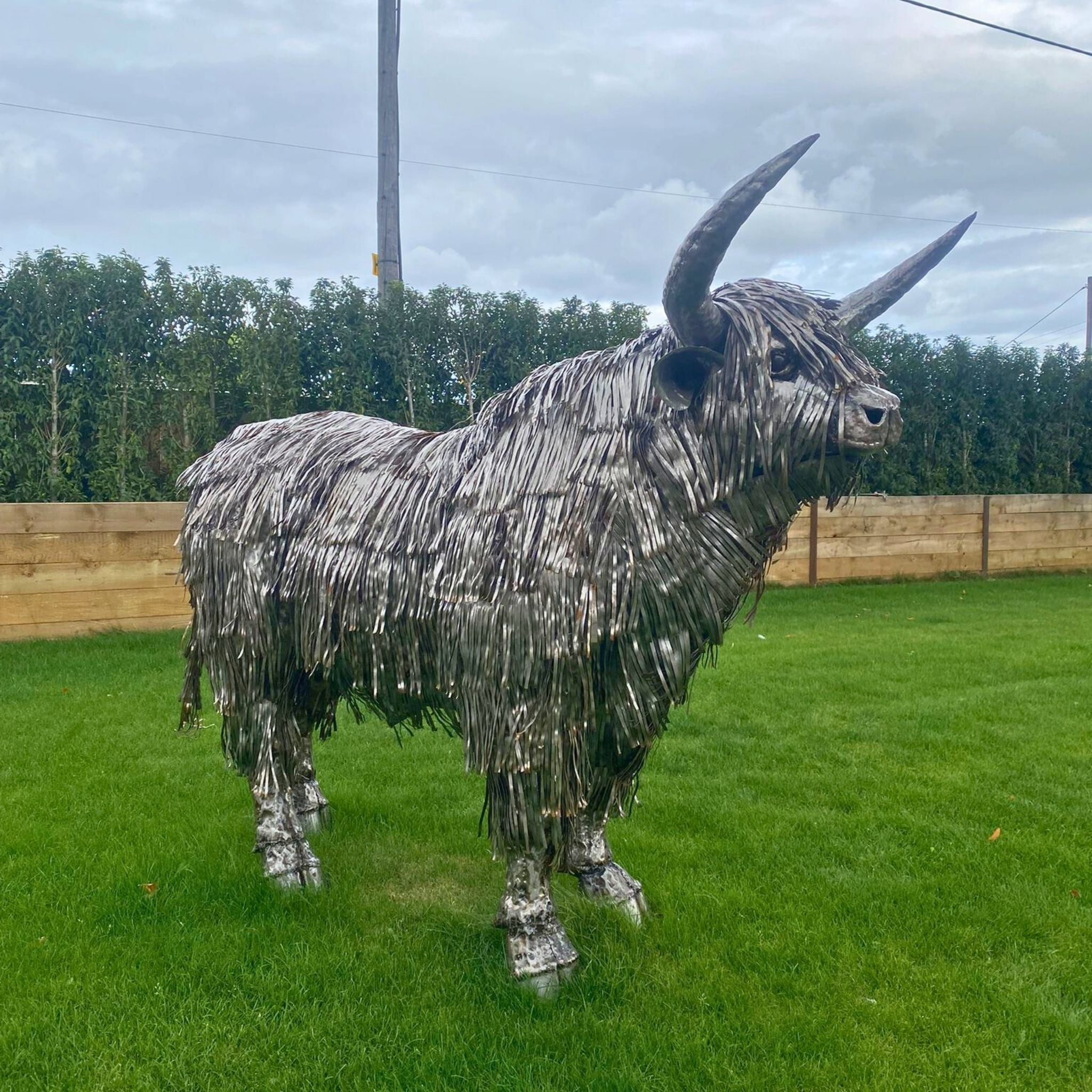 Highland Cow Metal Sculptures