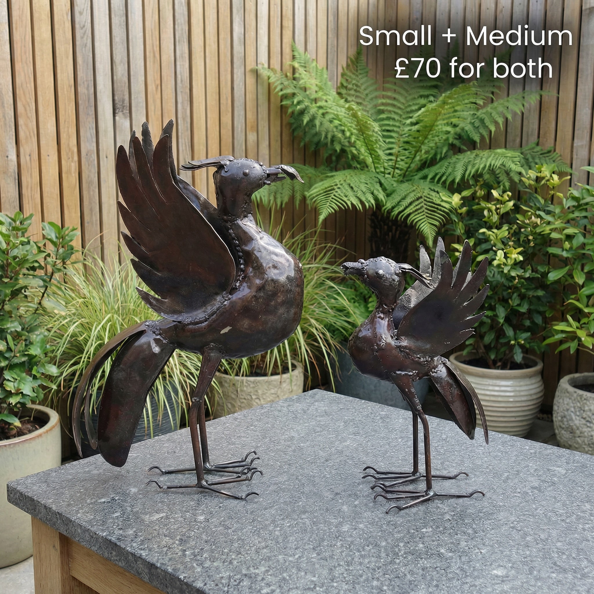 Medium Liver Bird - BOGOF