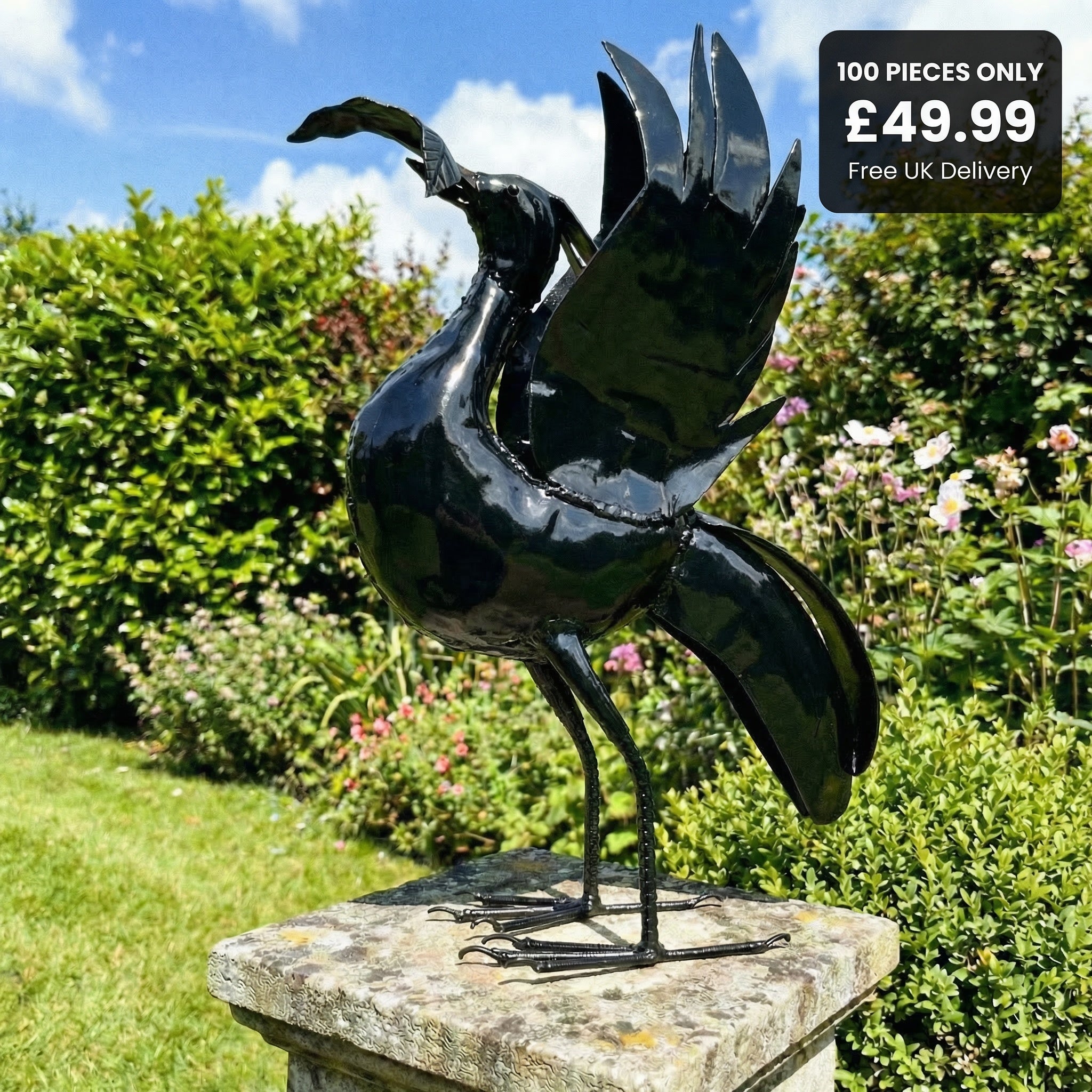 Pangea Liver bird - Medium