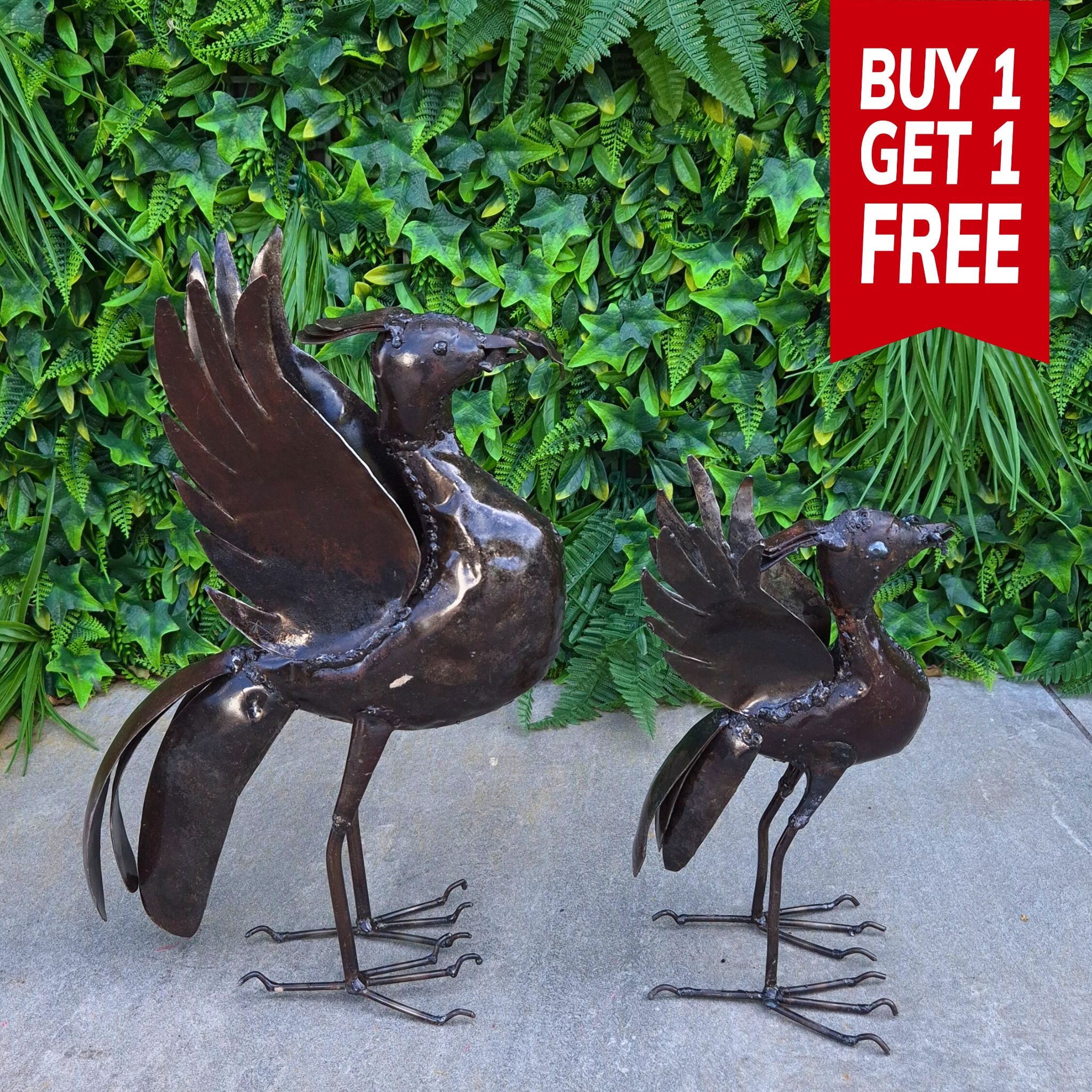 Medium Liver Bird - BOGOF