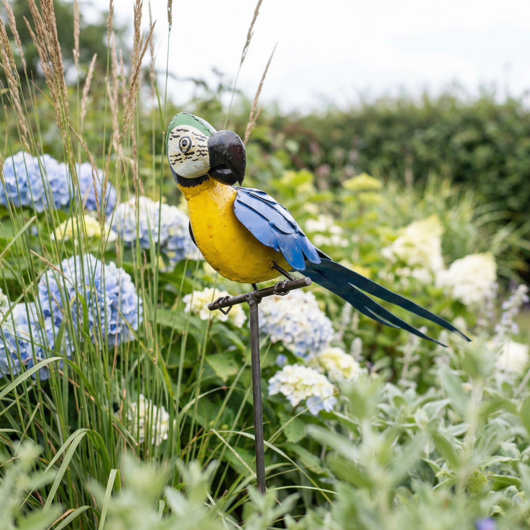 Perched Parrot Metal Sculptures