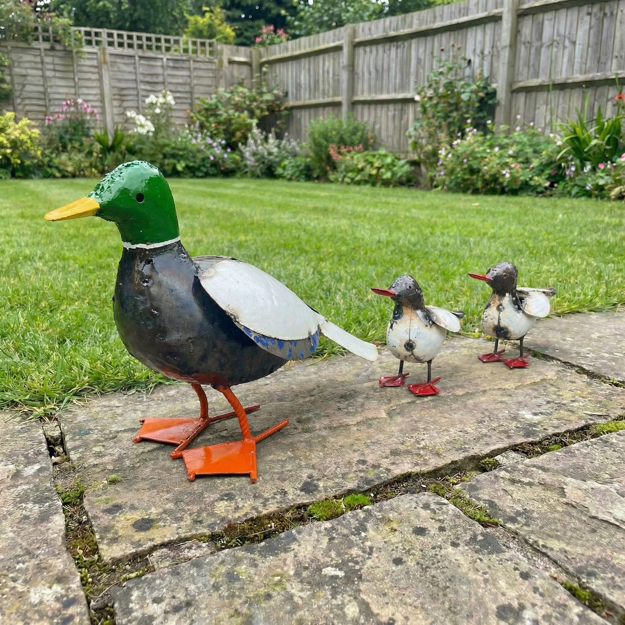 Duck and Ducklings Sets