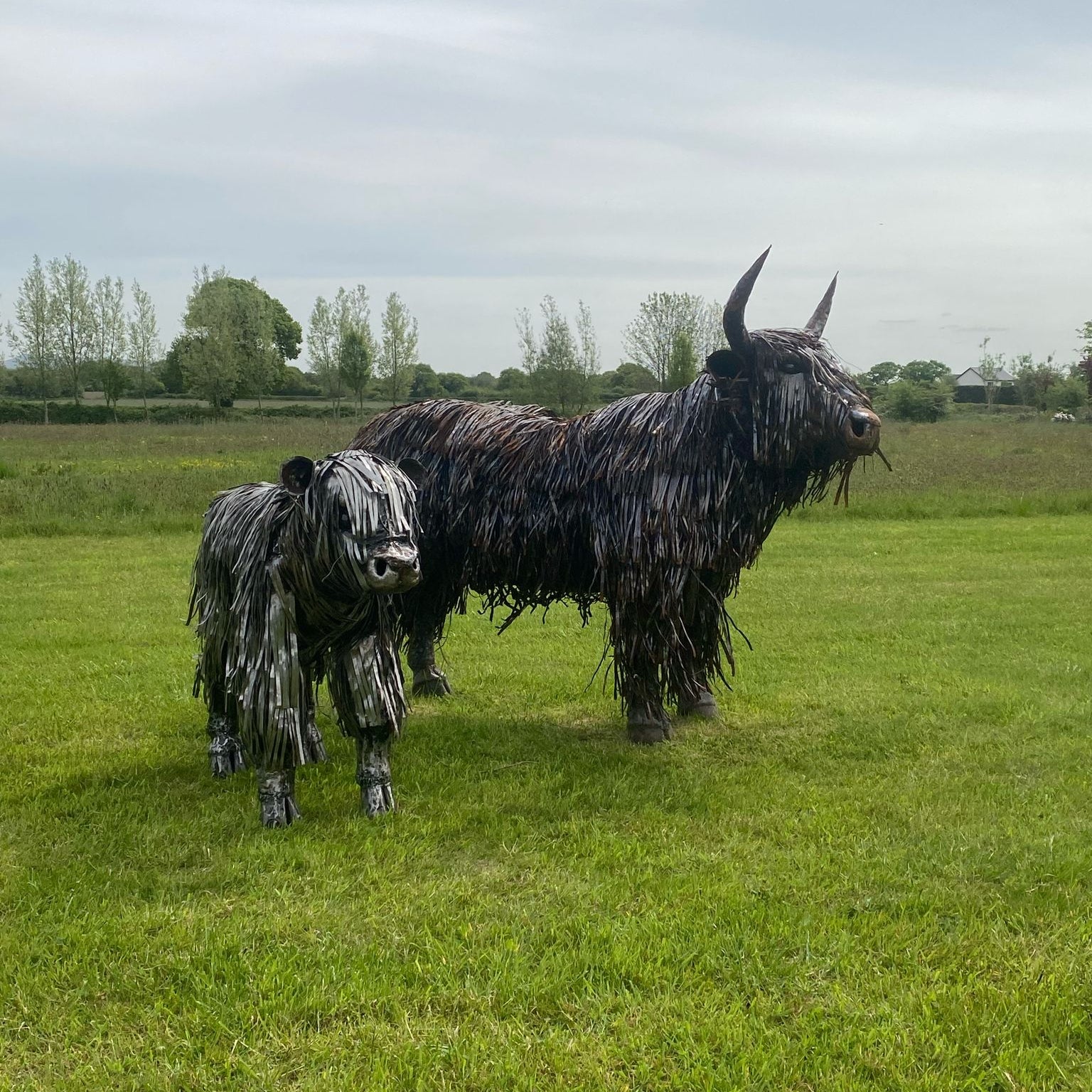 Highland Cow Metal Sculptures