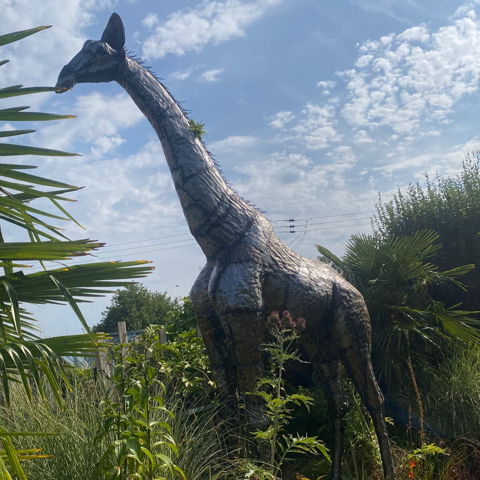 Giraffe Metal Sculpture 14ft