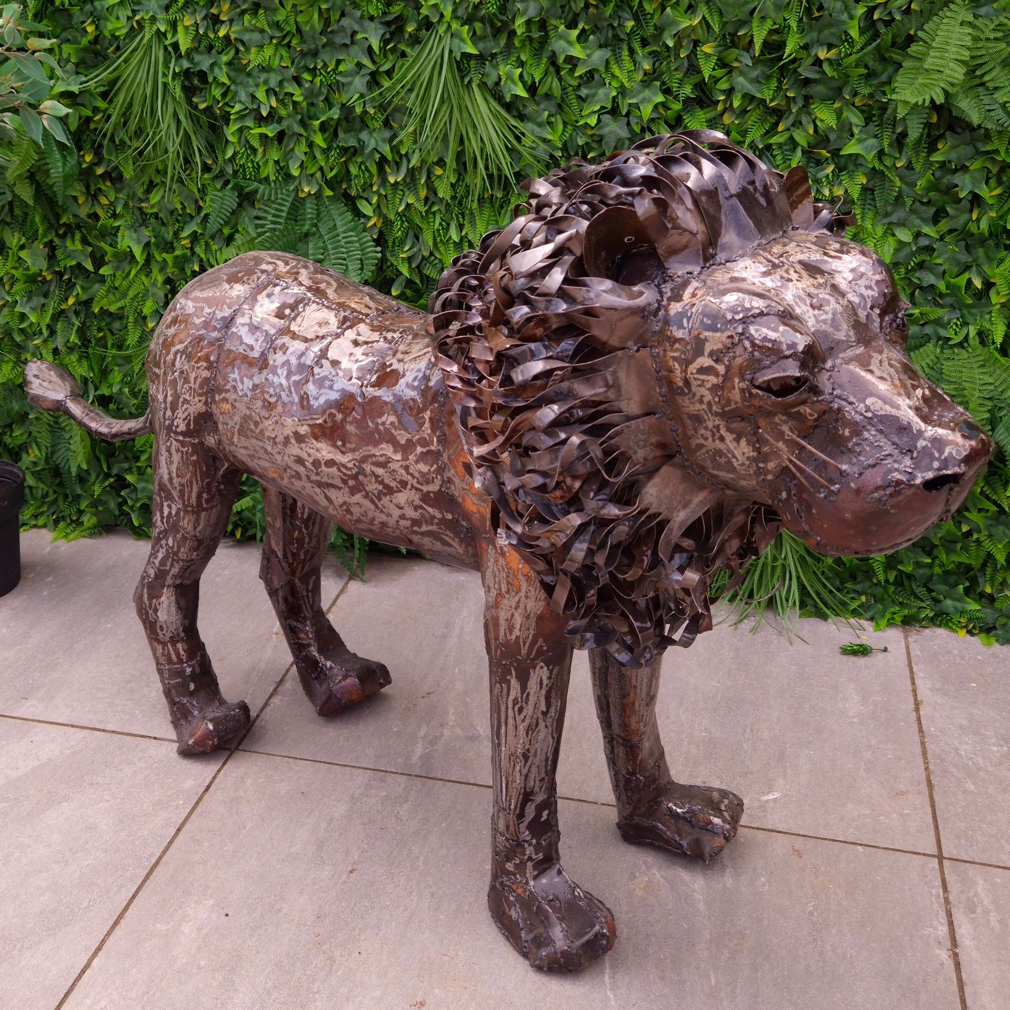 Lion Metal Sculpture 2.6ft - Pangea Sculptures