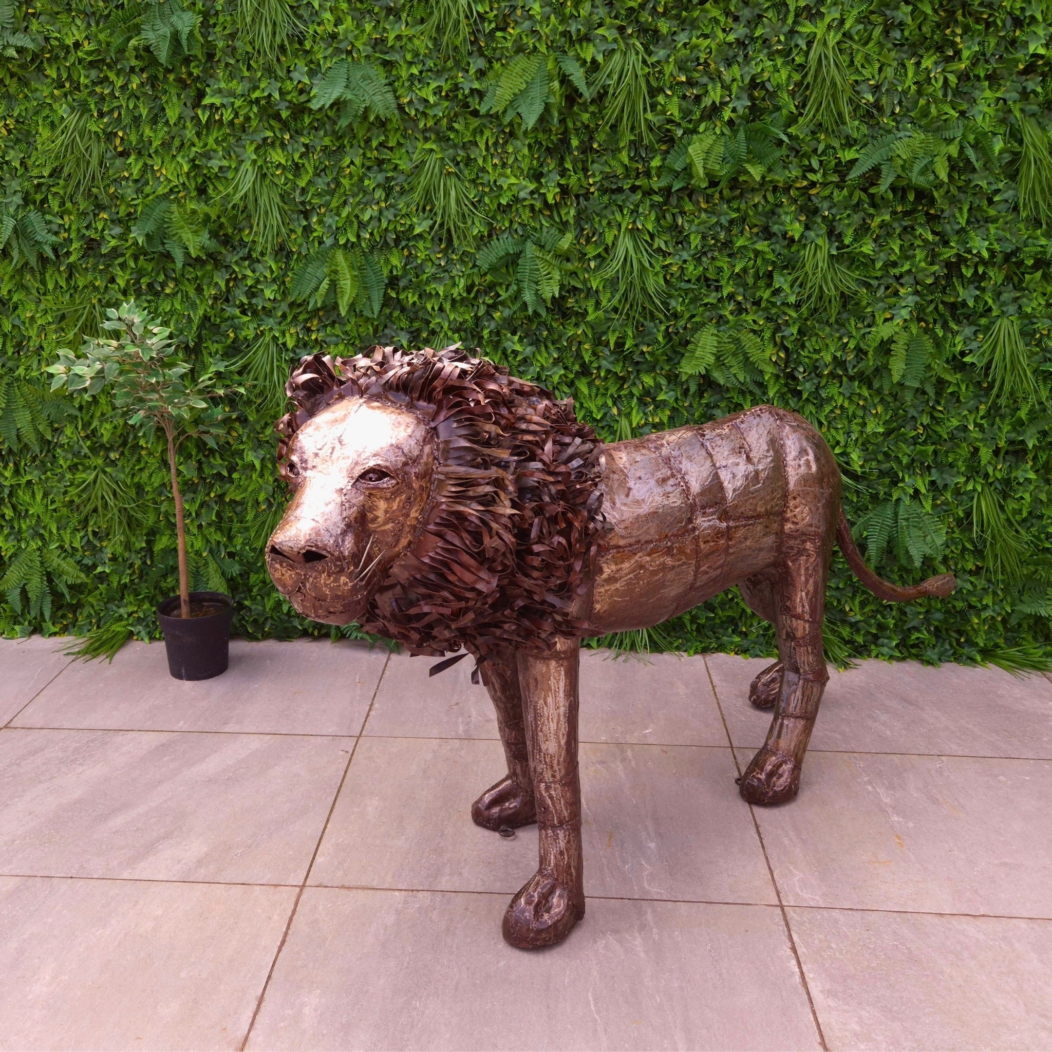 Lion Metal Sculpture 3.6ft - Pangea Sculptures