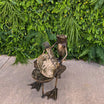 Piano Frog Metal Sculptures - Pangea Sculptures