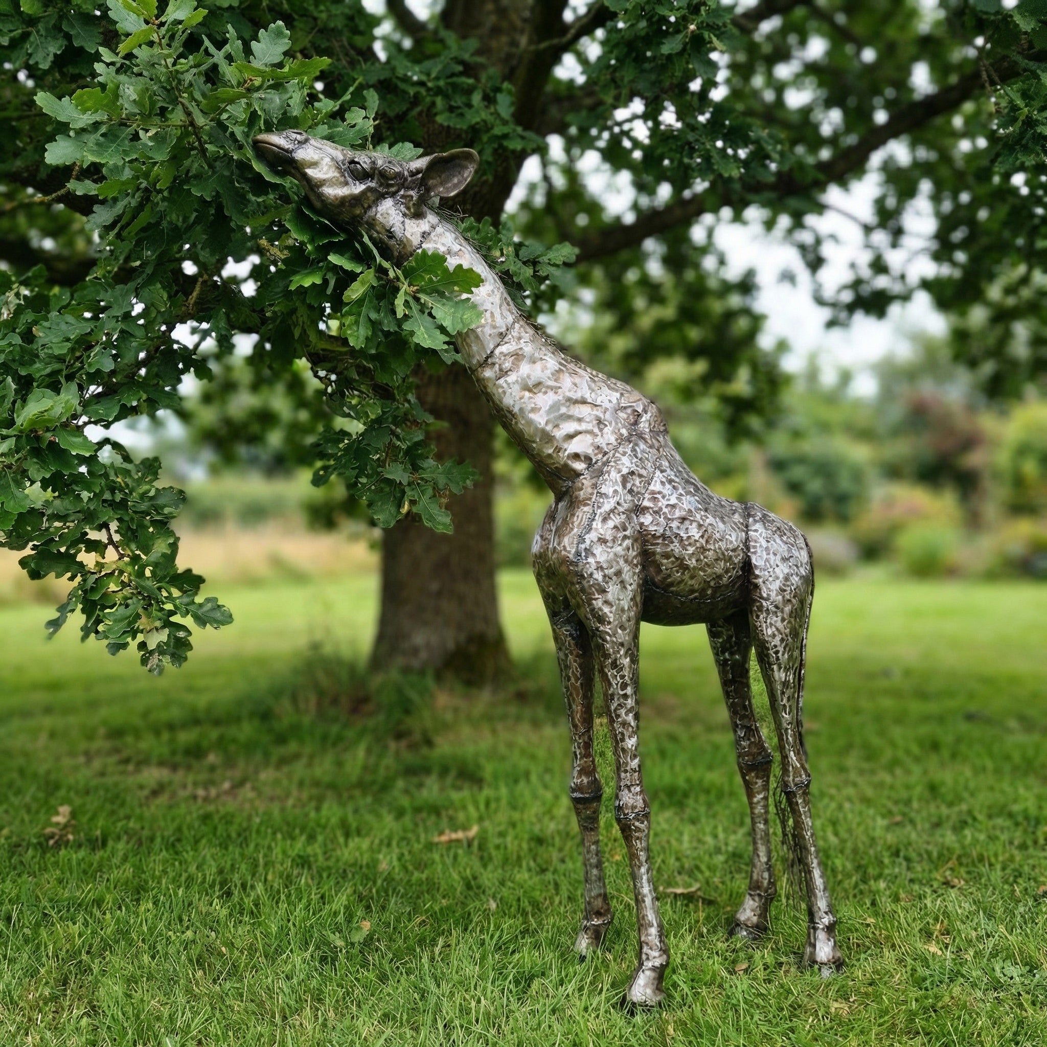 Giraffe Metal Sculpture 6ft - Reaching Pose