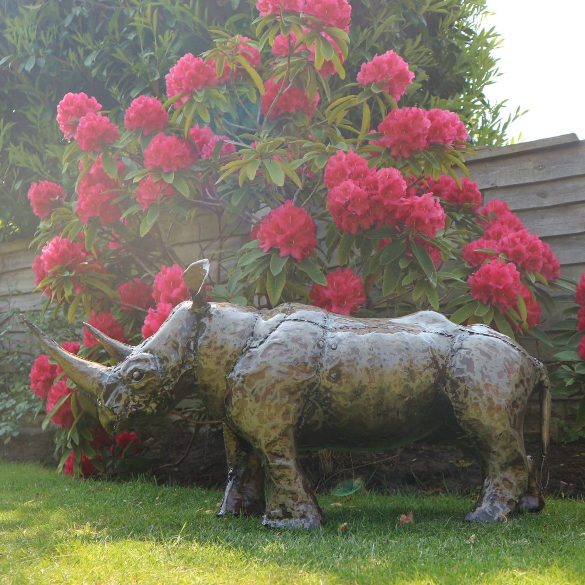 2ft Rhino - Pangea Sculptures
