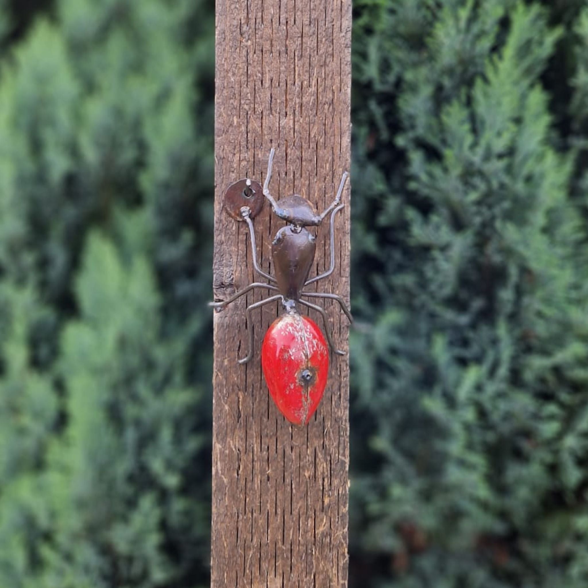 Ant - Pangea Sculptures