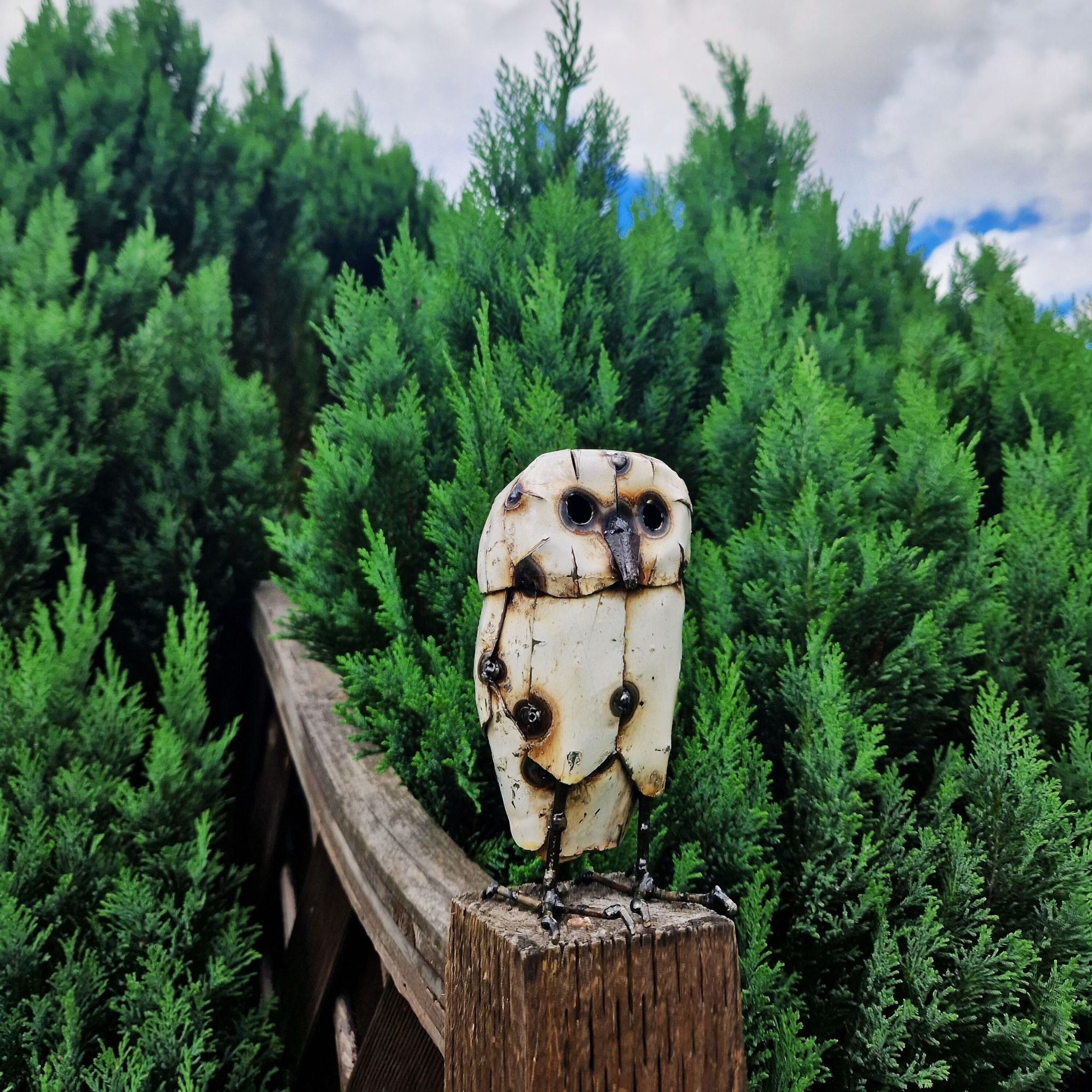 Barn Owl - Pangea Sculptures