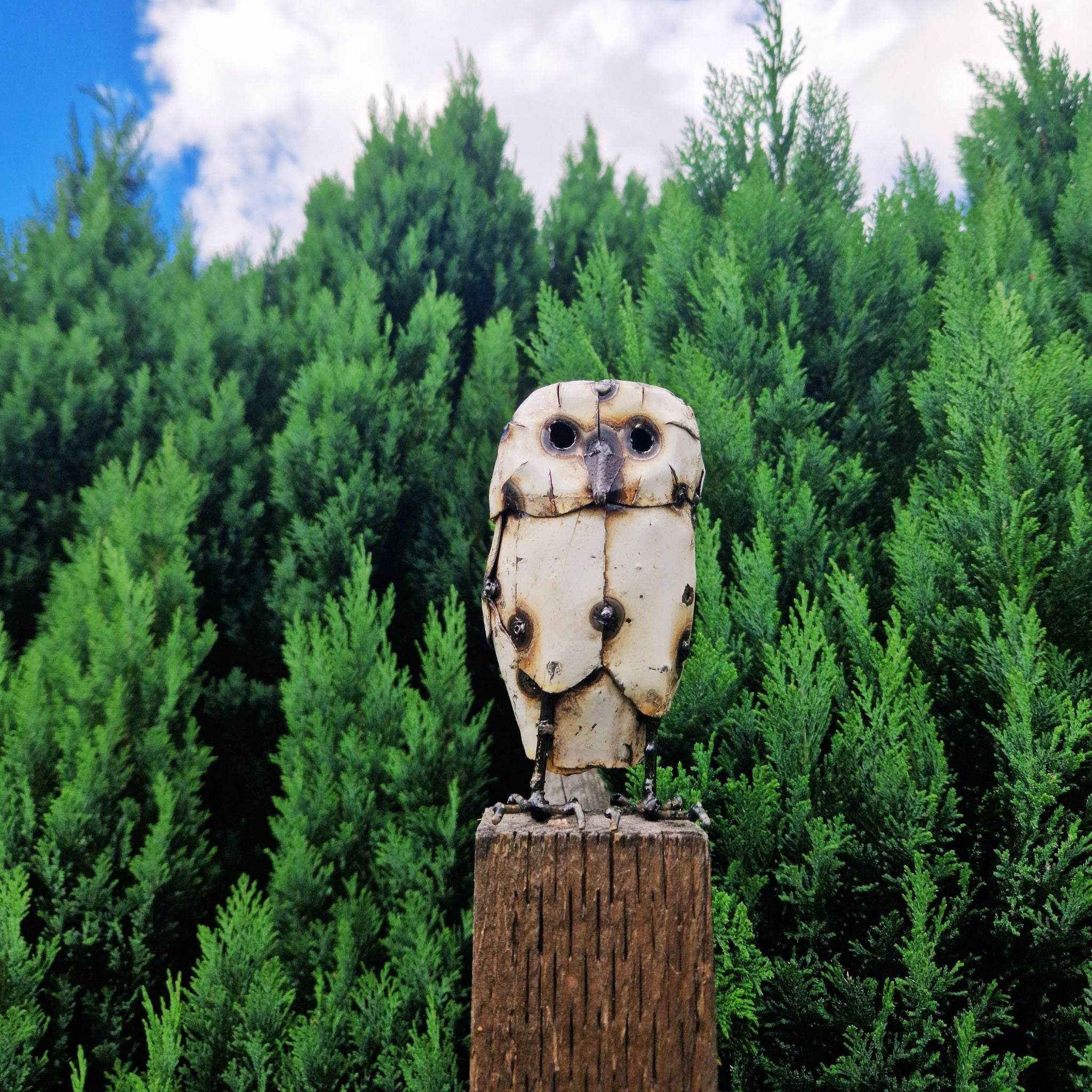 Barn Owl - Pangea Sculptures