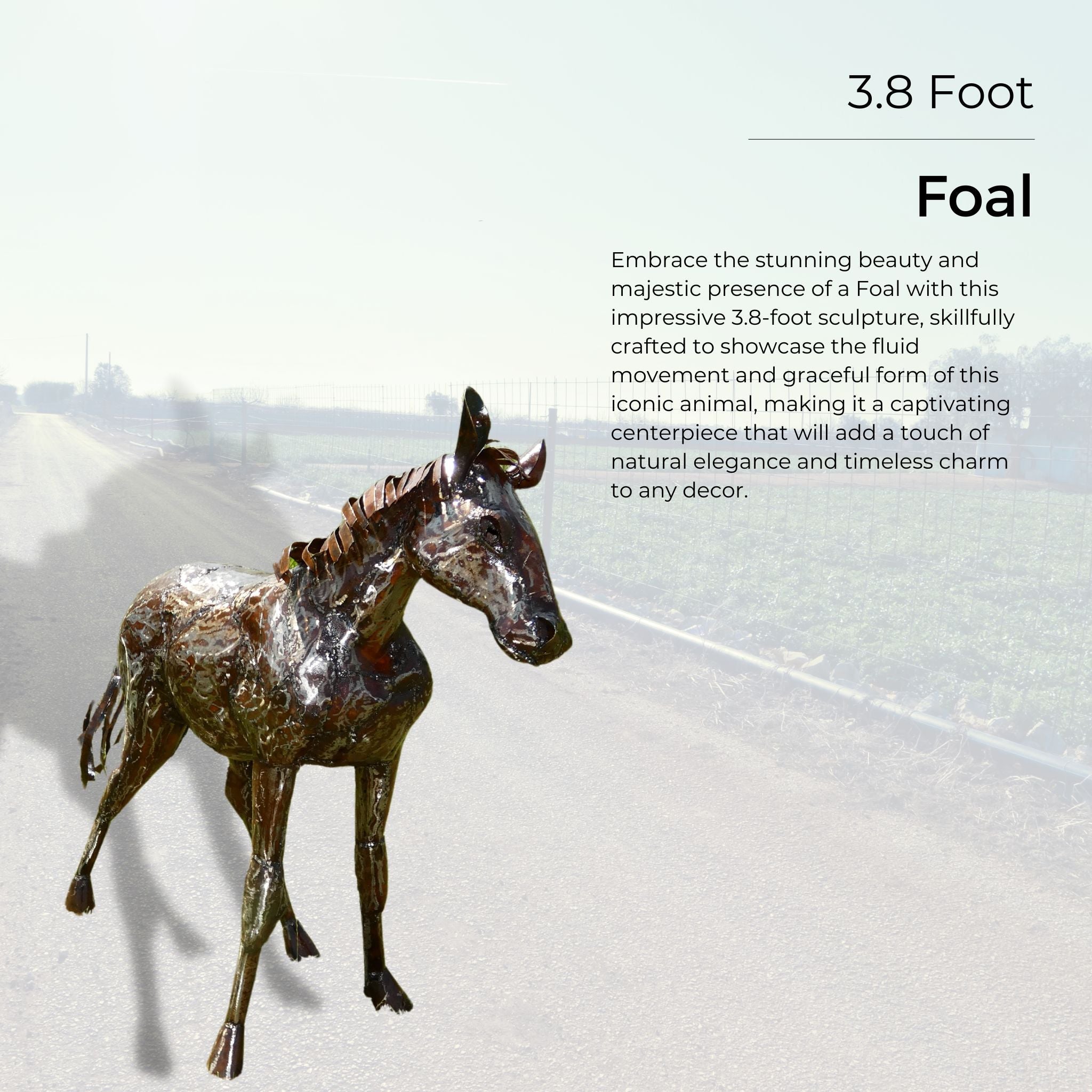 Foal - Pangea Sculptures