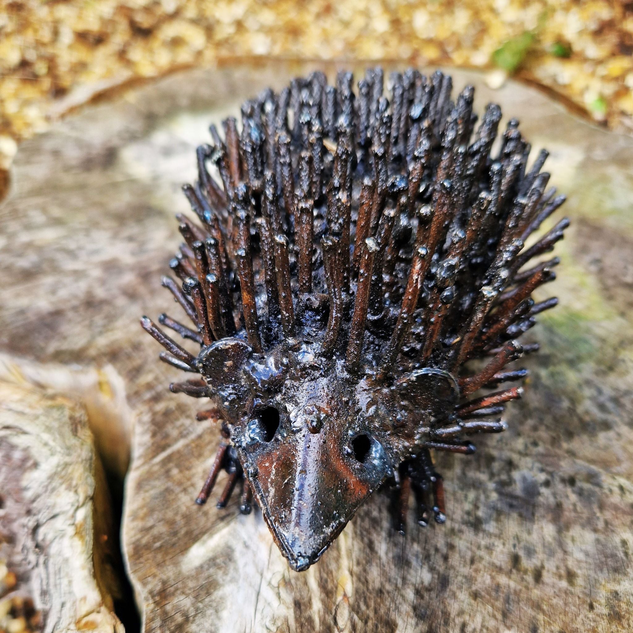 Hedgehog - Pangea Sculptures