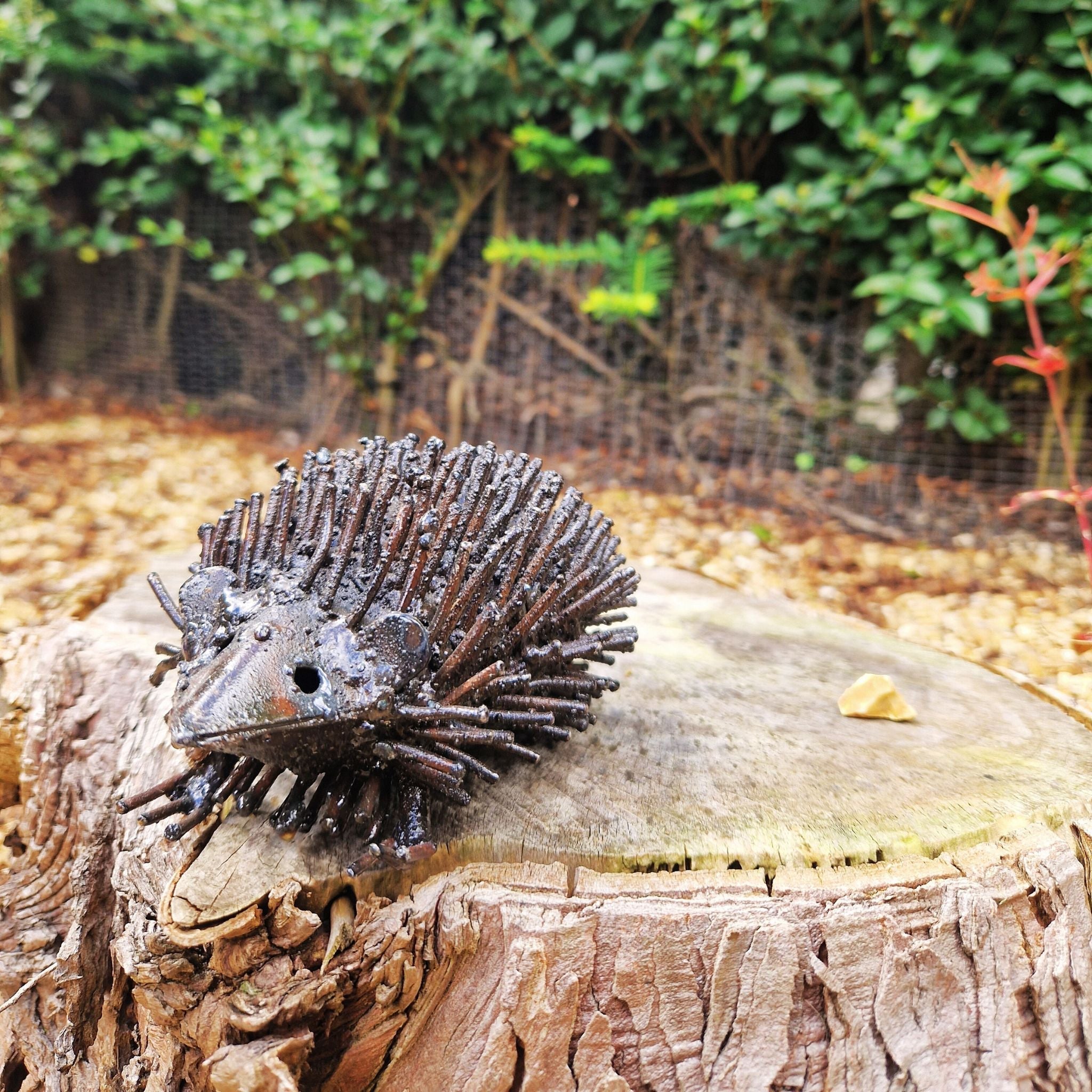 Hedgehog - Pangea Sculptures