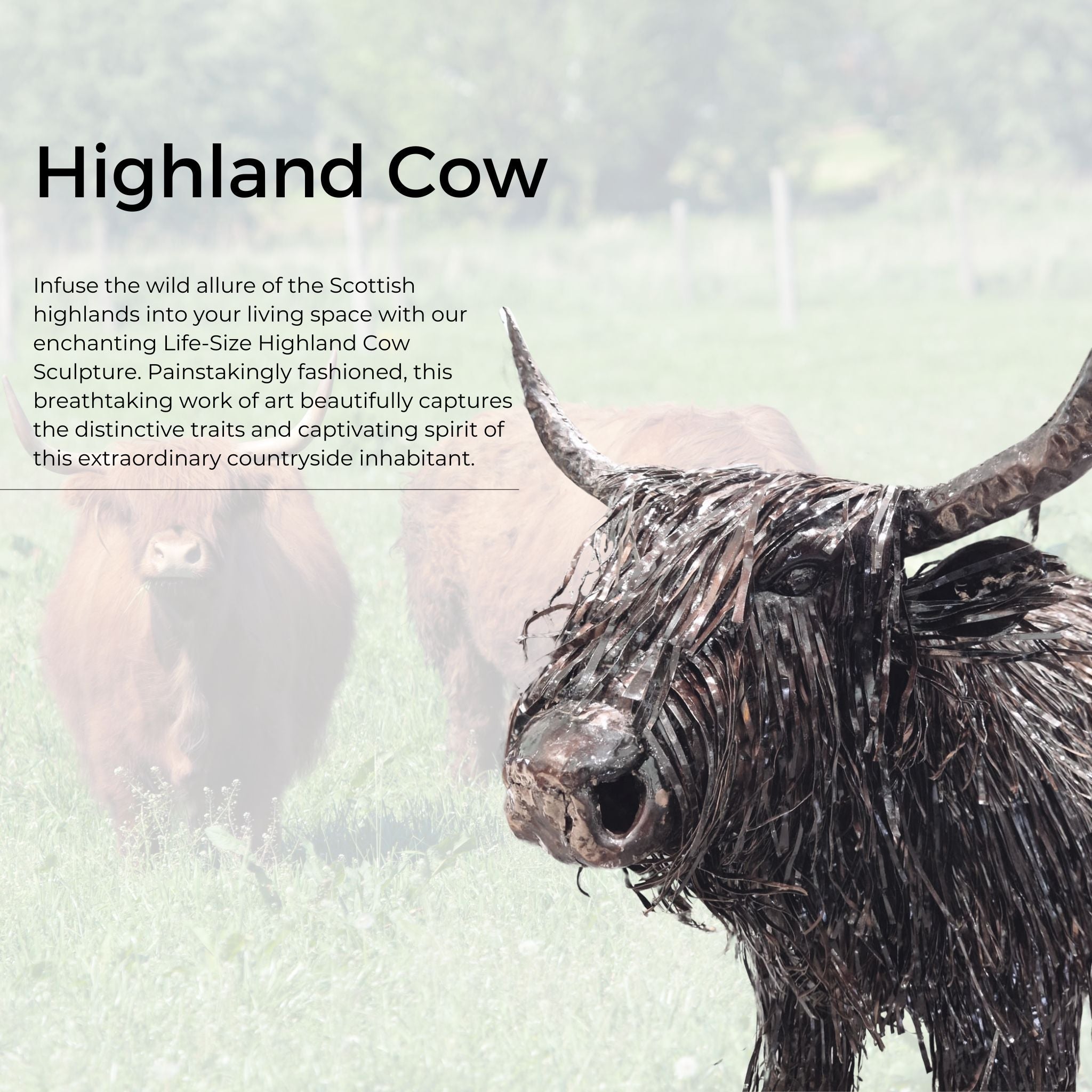 Highland Cow - Pangea Sculptures