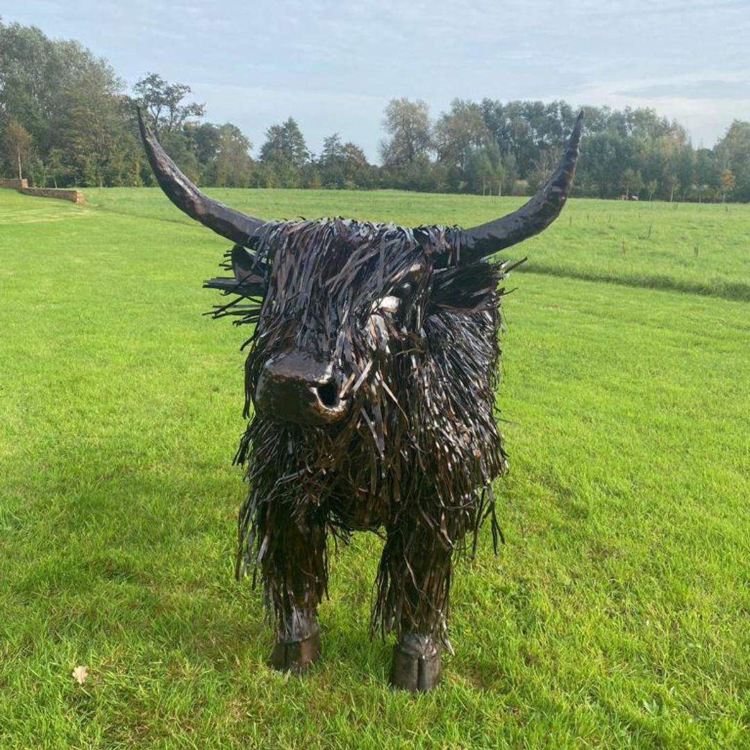 Highland Cow | Lifesize - Pangea Sculptures