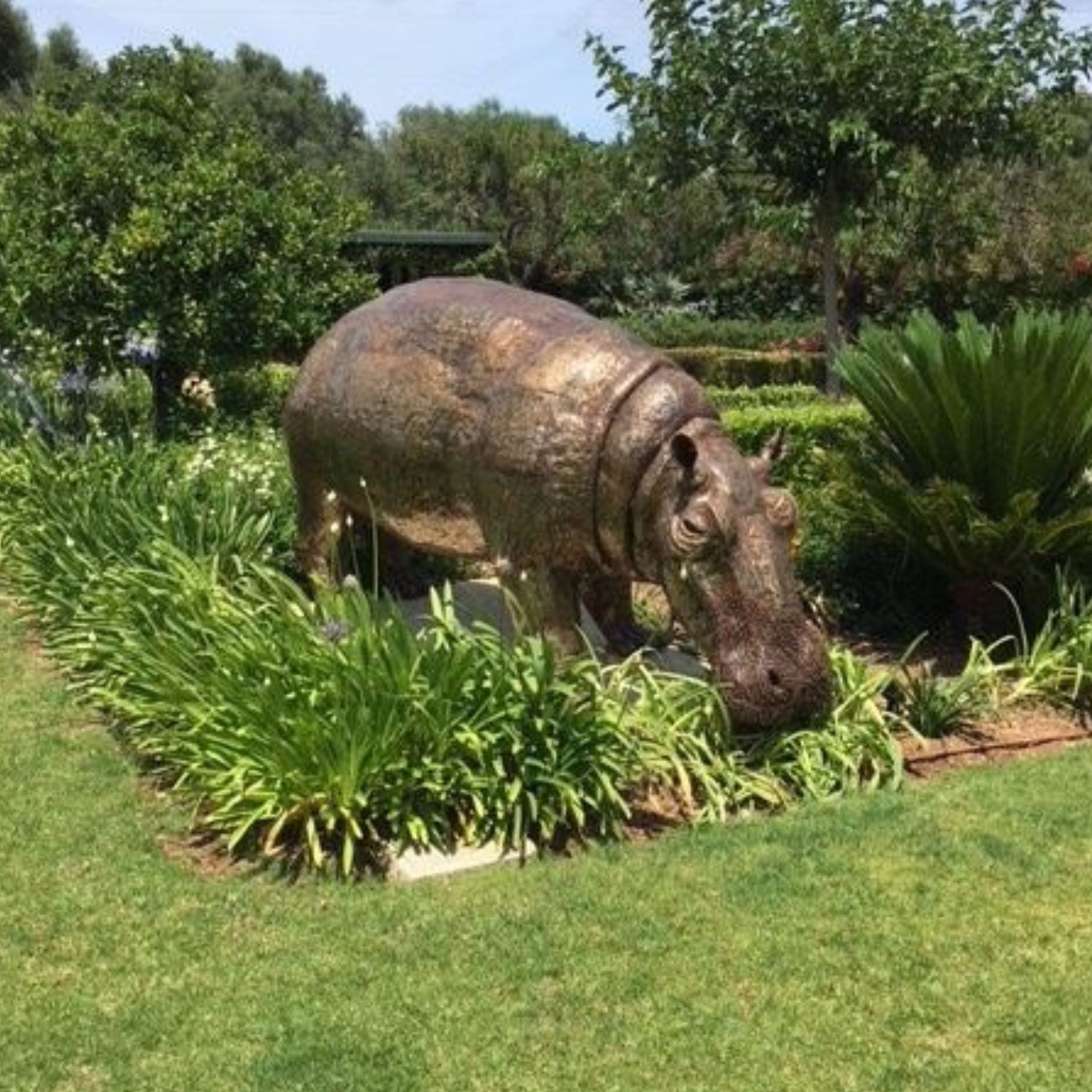 Life Size Natural Hippo - Pangea Sculptures