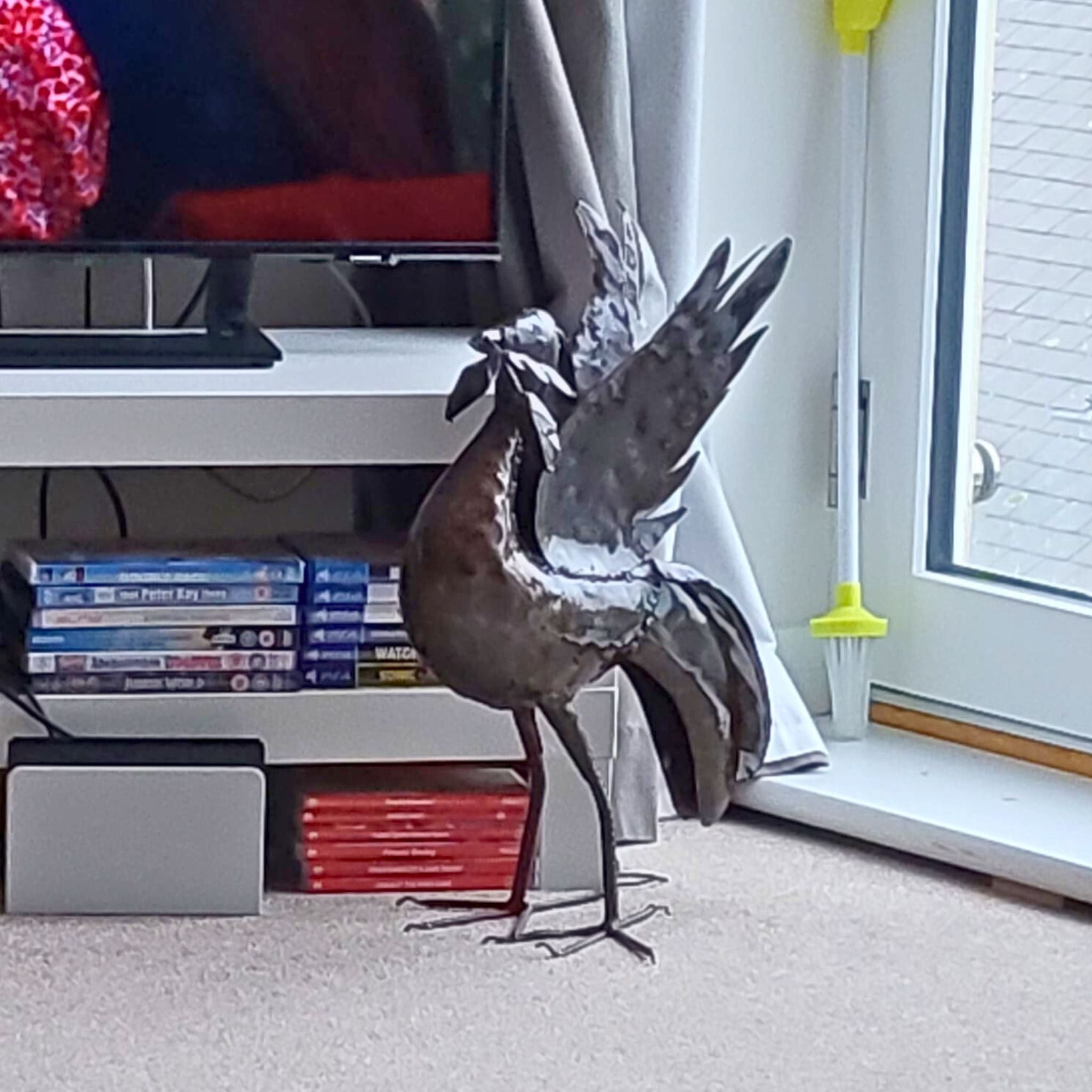 Liver Bird (3 Sizes) - Pangea Sculptures