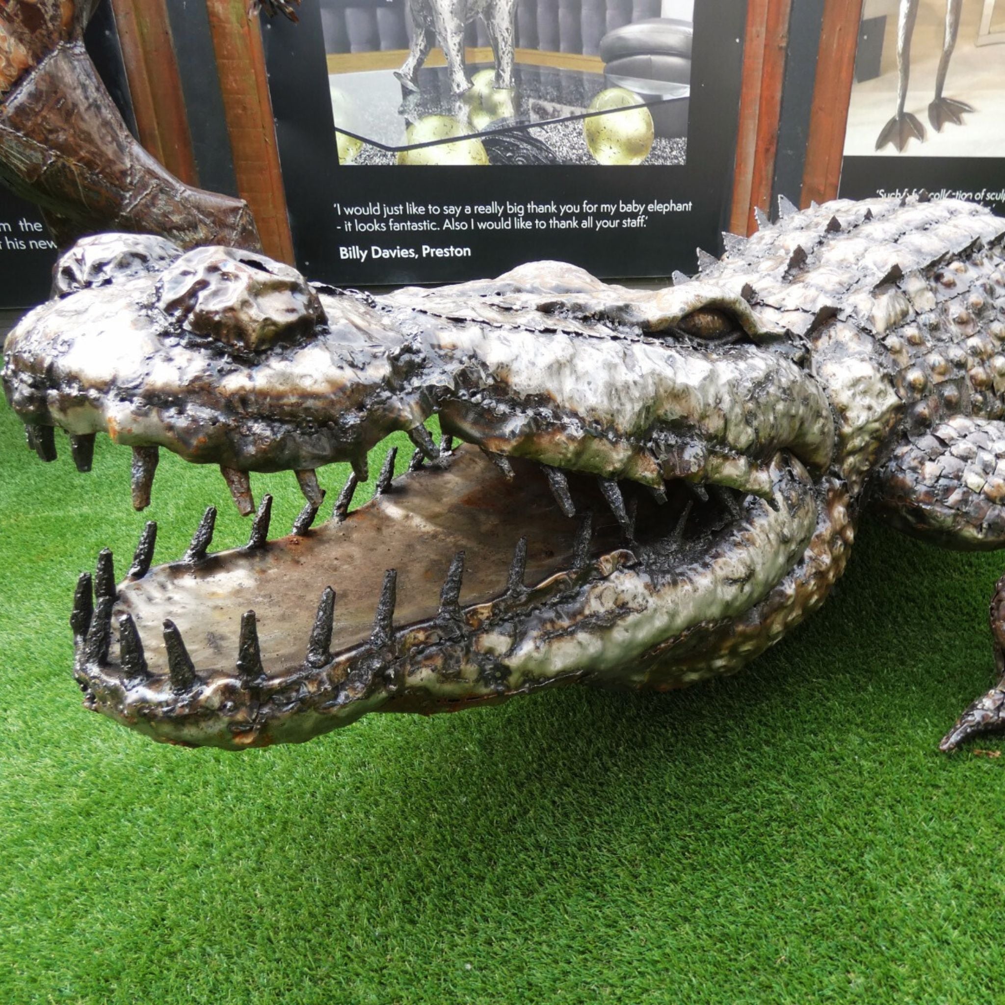 Natural Crocodile - Pangea Sculptures