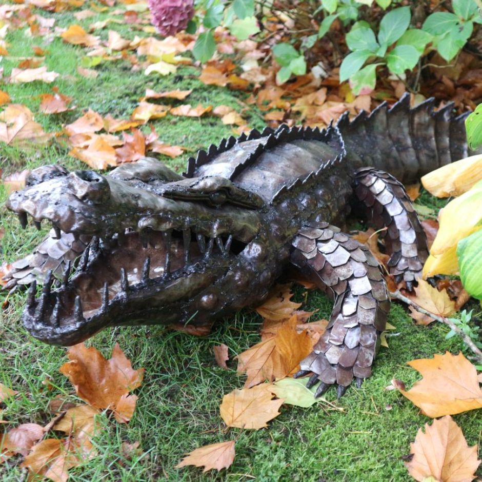 Natural Crocodile - Pangea Sculptures