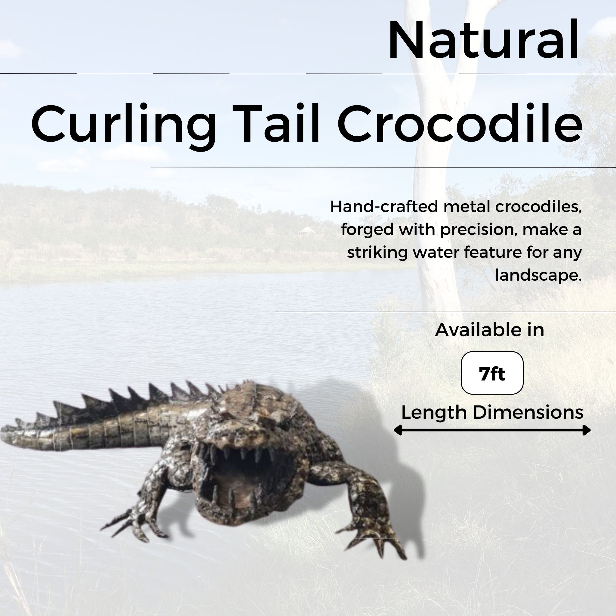 Natural Curling Tail Crocodile - Pangea Sculptures
