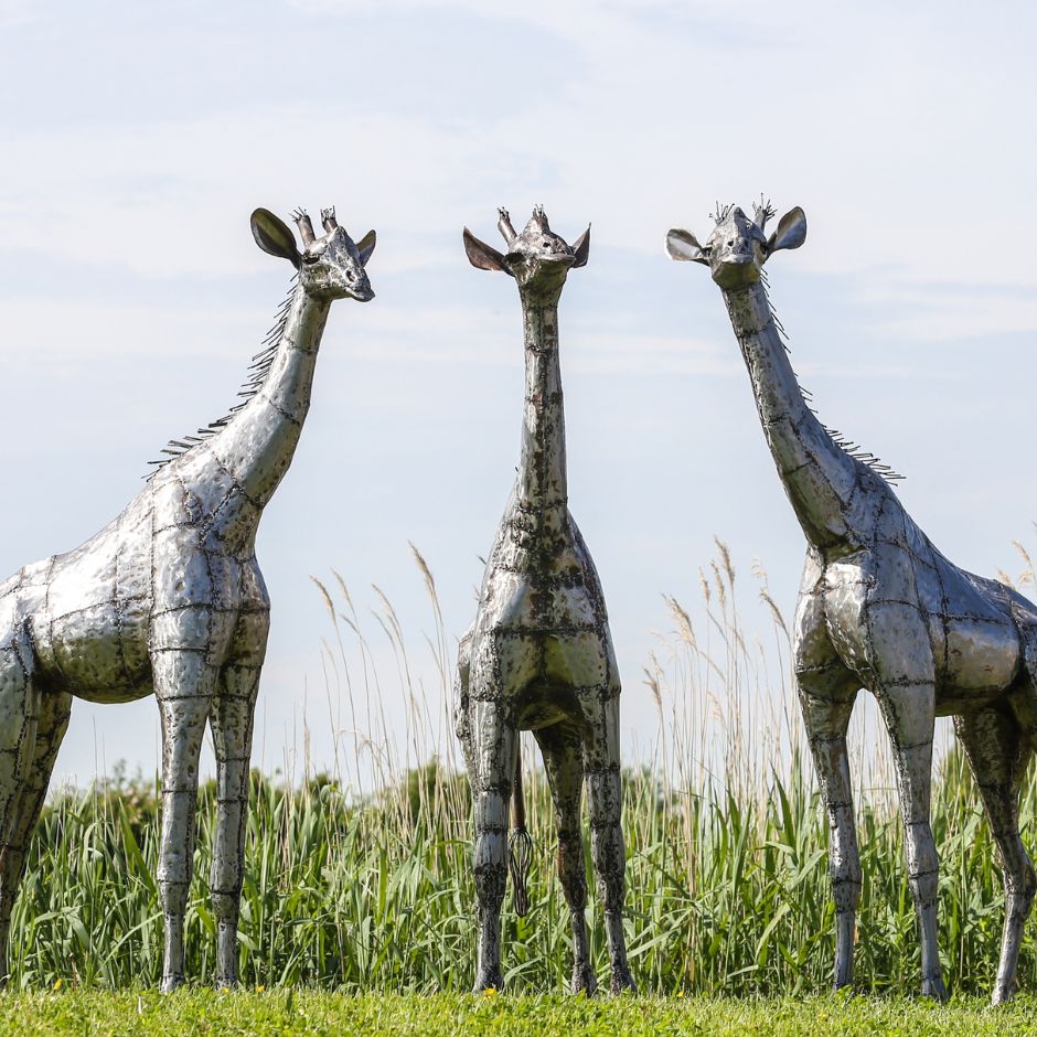Natural Giraffe - Pangea Sculptures