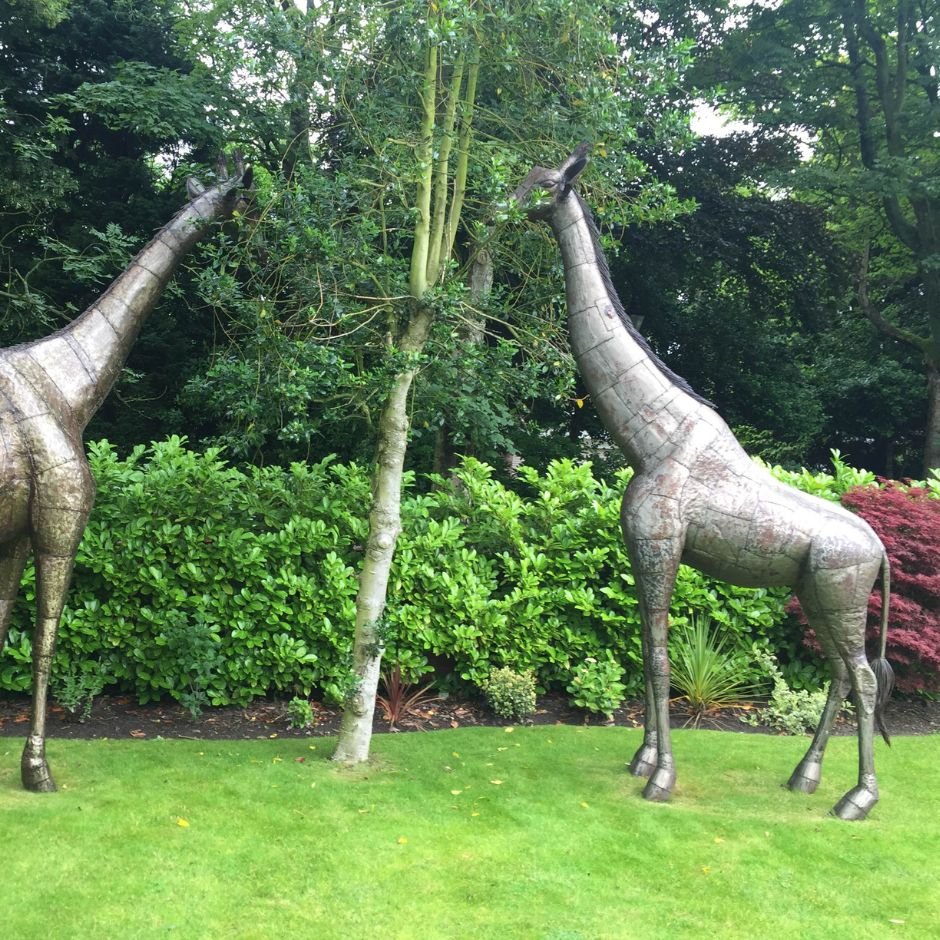 Natural Giraffe - Pangea Sculptures