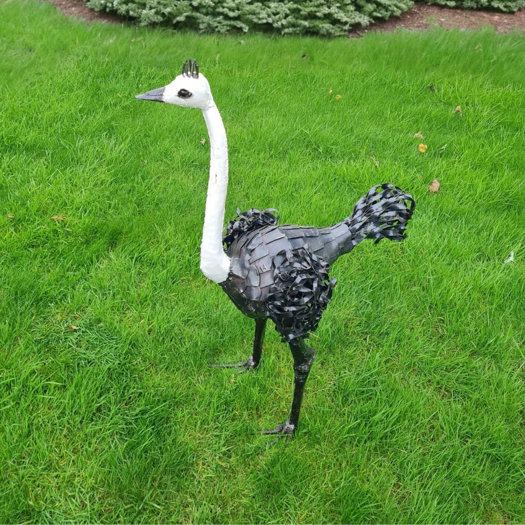 Ostrich (3 Sizes) - Pangea Sculptures